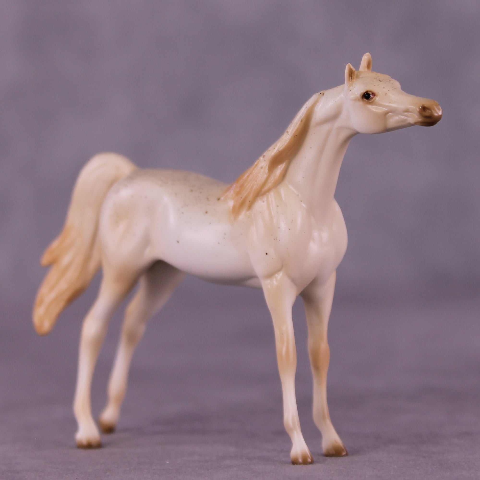 Funnel Cake OOAK Chip Arabian by Ellen Robbins SCD25