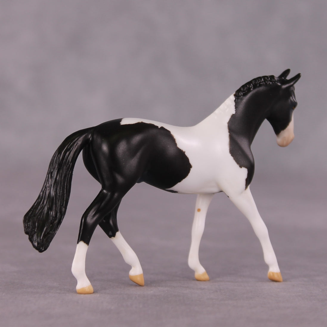 "Domino" OOAK Warmblood Chip by Anna Rieck SHCF25OS