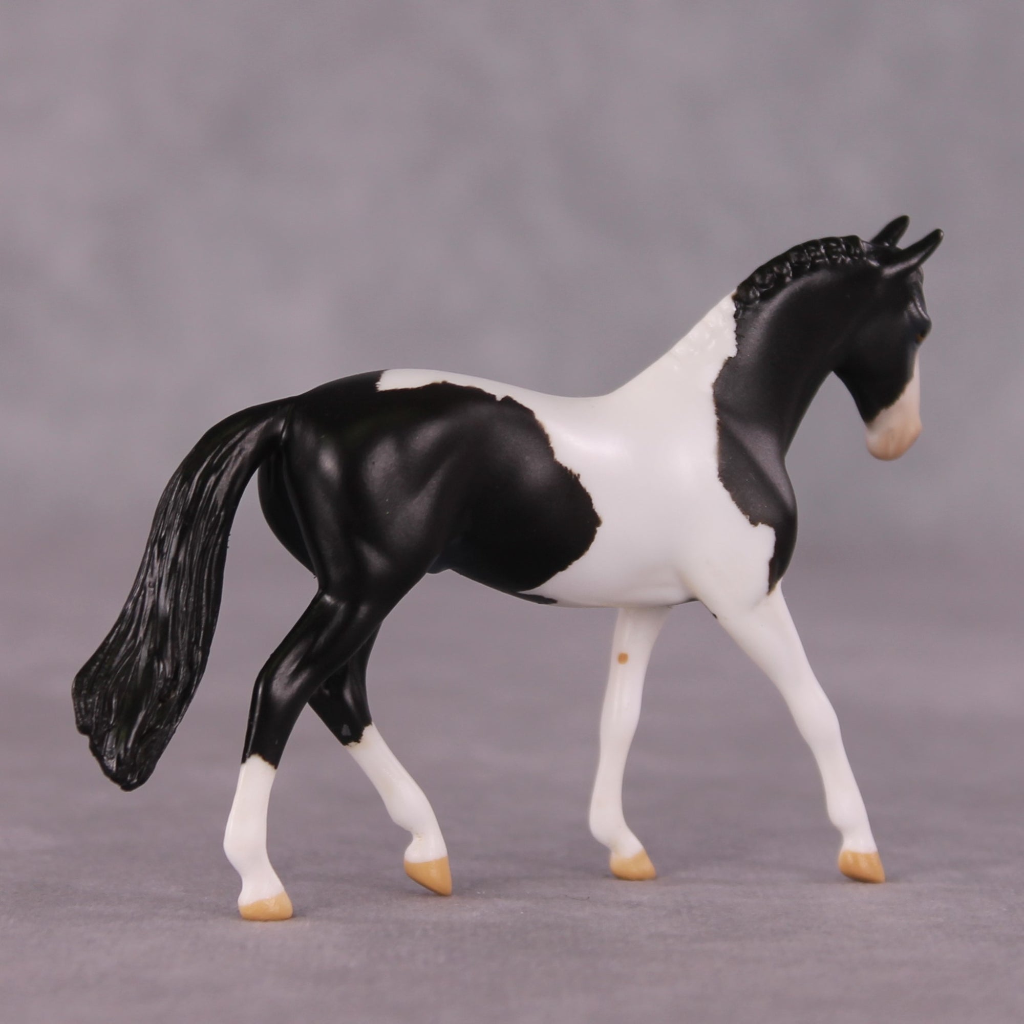"Domino" OOAK Warmblood Chip by Anna Rieck SHCF25OS
