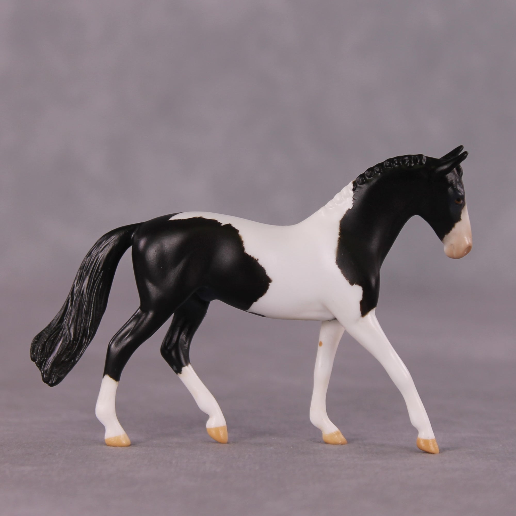 "Domino" OOAK Warmblood Chip by Anna Rieck SHCF25OS