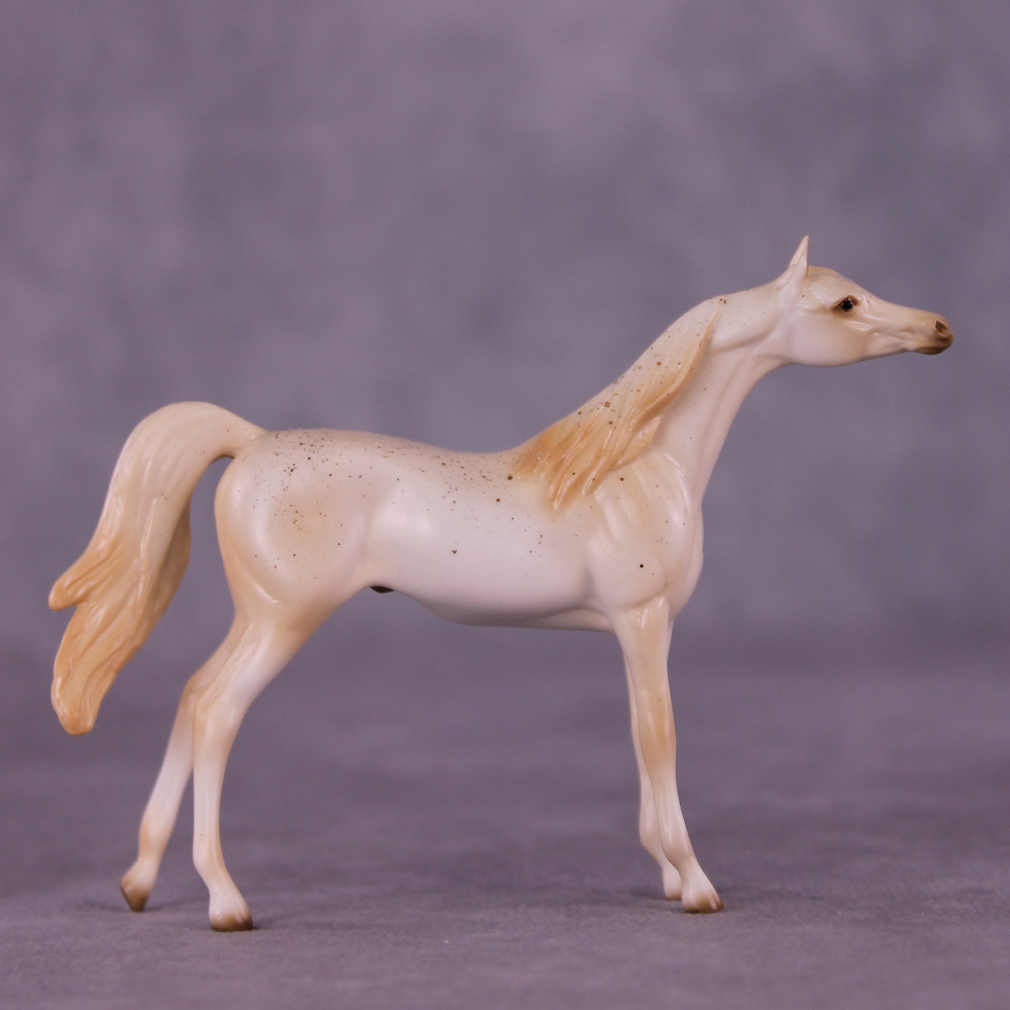 Funnel Cake OOAK Chip Arabian by Ellen Robbins SCD25