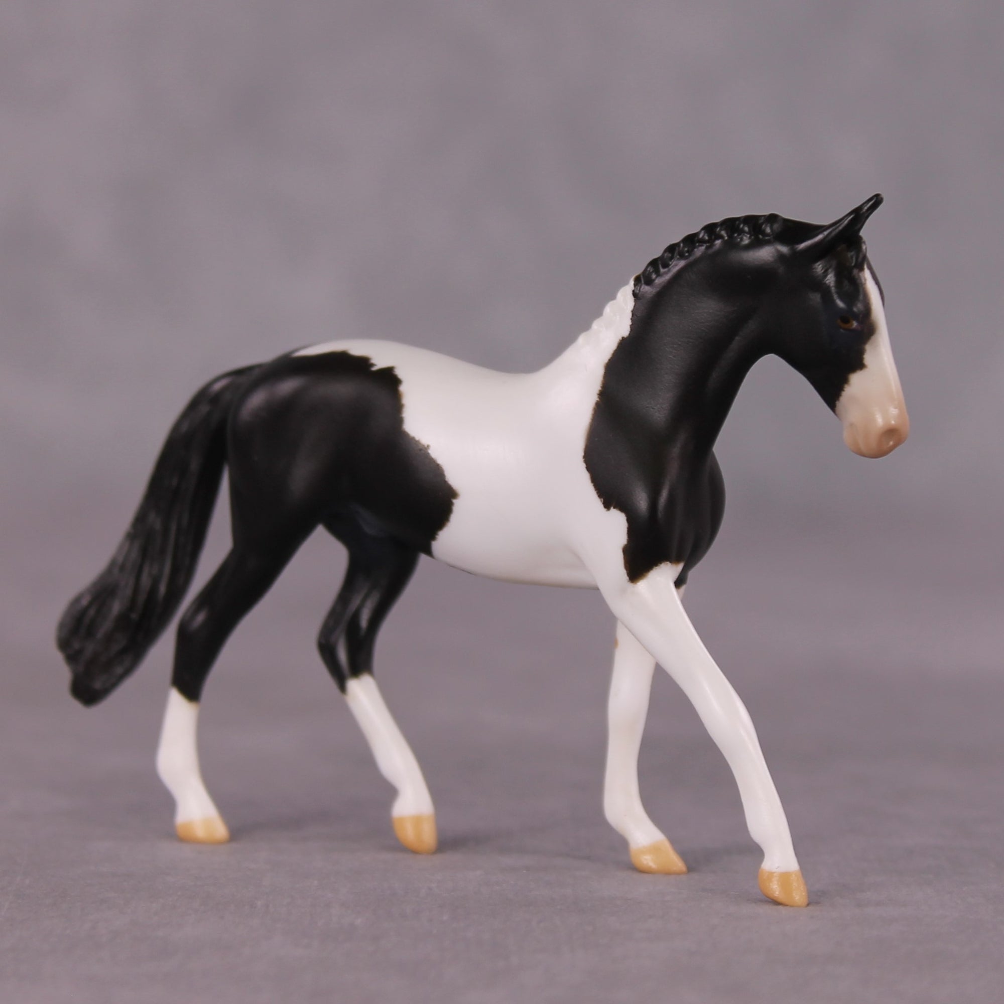 "Domino" OOAK Warmblood Chip by Anna Rieck SHCF25OS
