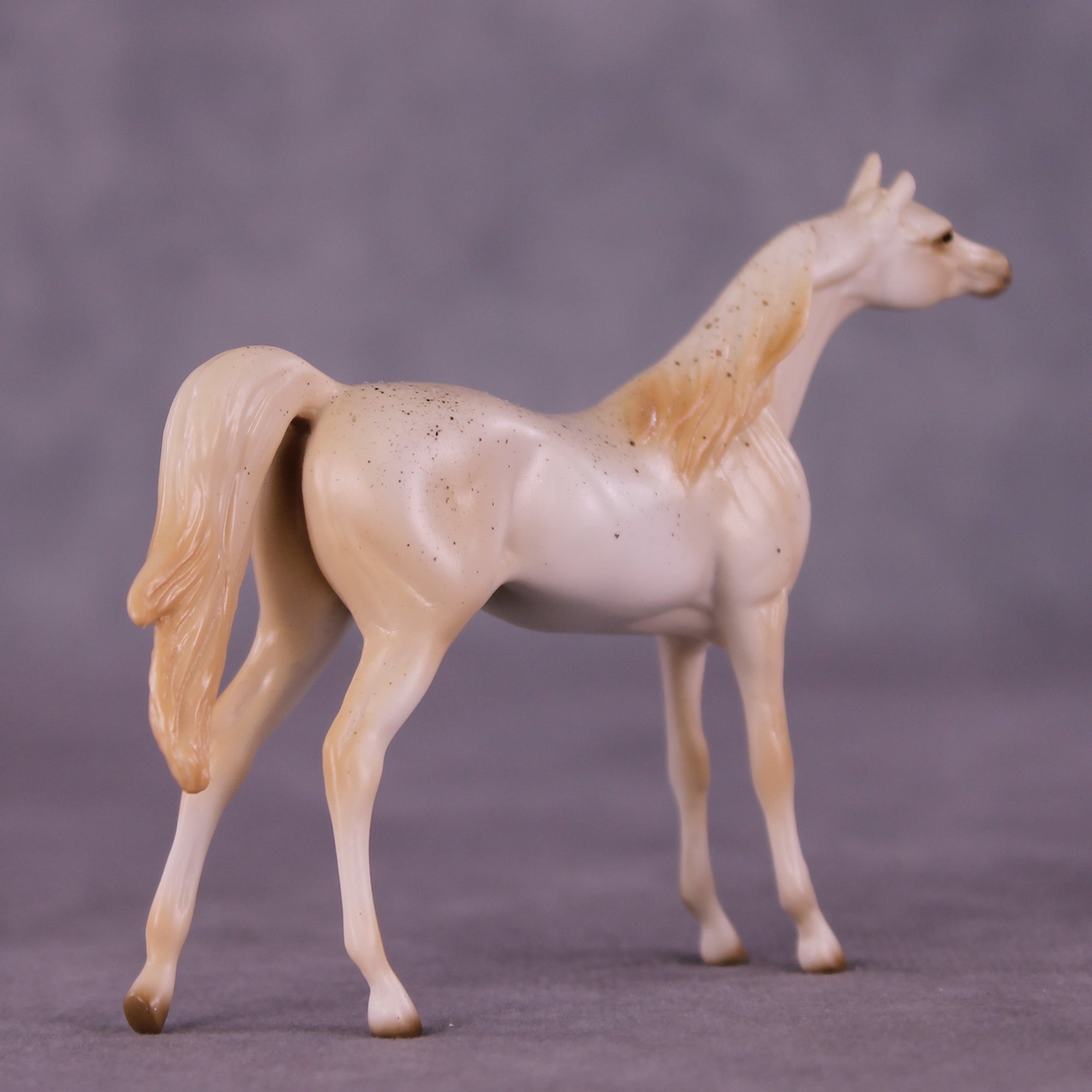 Funnel Cake OOAK Chip Arabian by Ellen Robbins SCD25