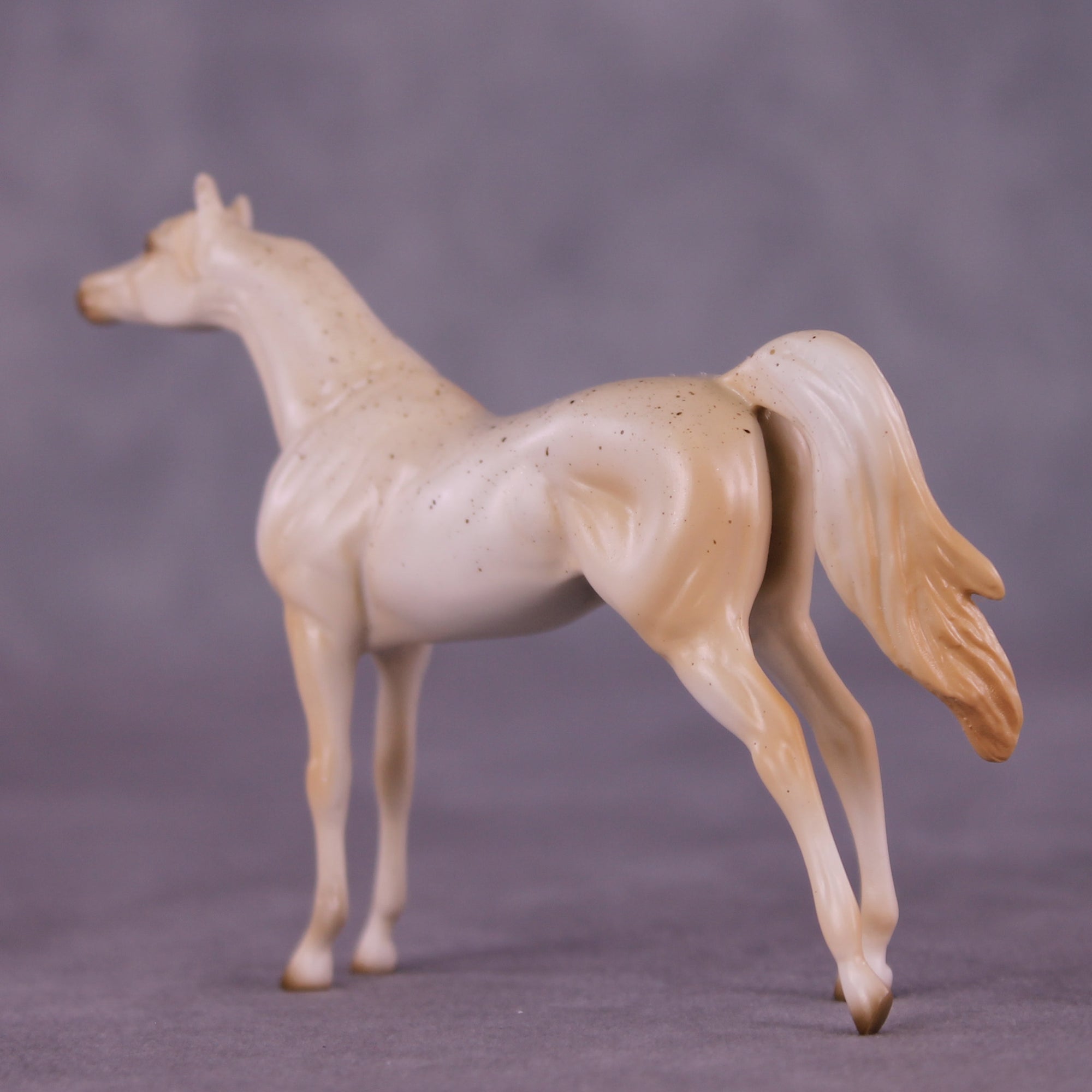 Funnel Cake OOAK Chip Arabian by Ellen Robbins SCD25