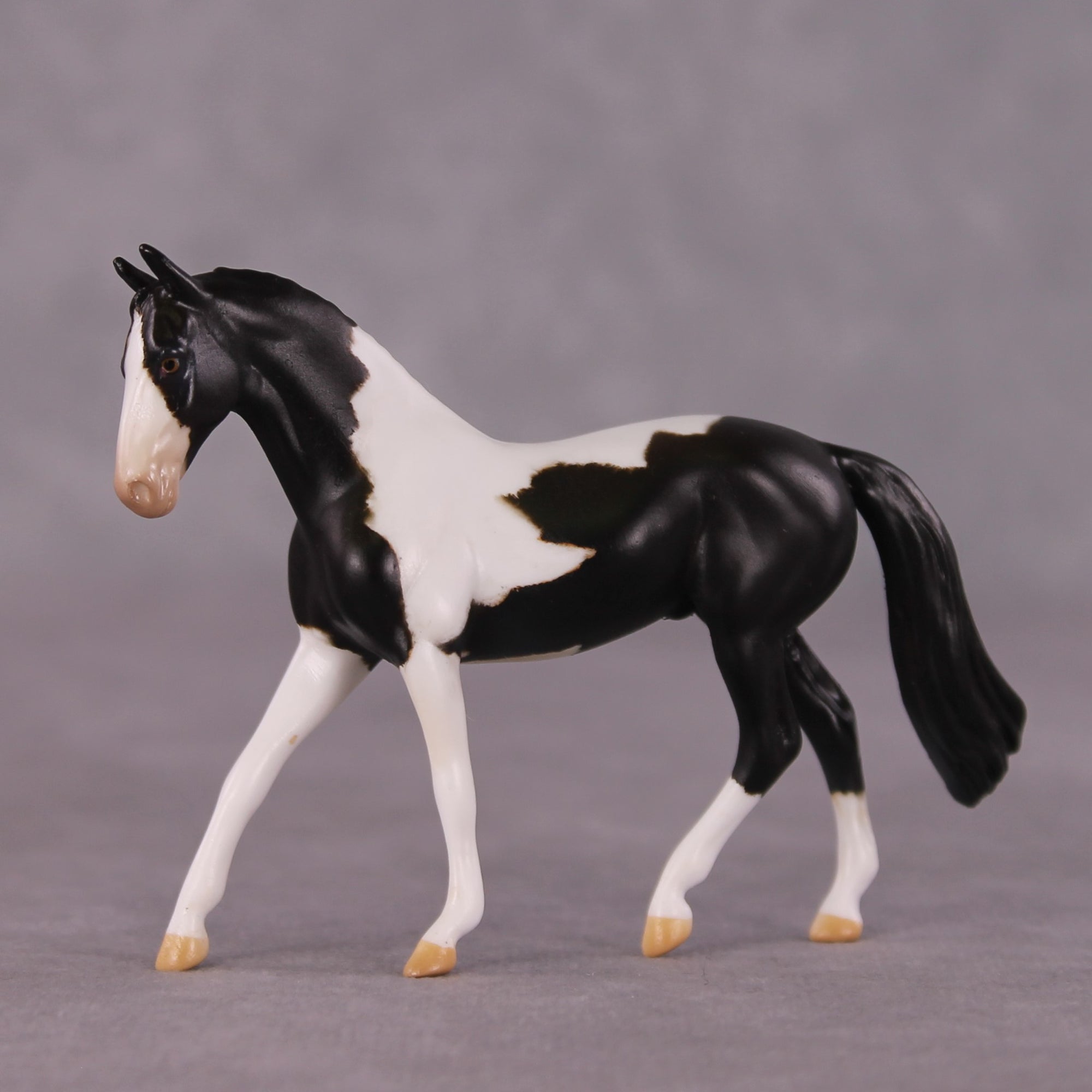 "Domino" OOAK Warmblood Chip by Anna Rieck SHCF25OS