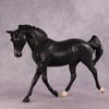 &quot;Dark Lady&quot; OOAK FCM Palouse by Ellen Robbins SHCF25