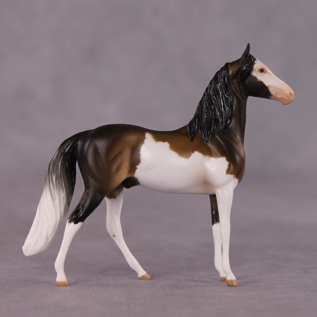 "Tiramusa" OOAK Morgan Chip by Anna Rieck SHCF25
