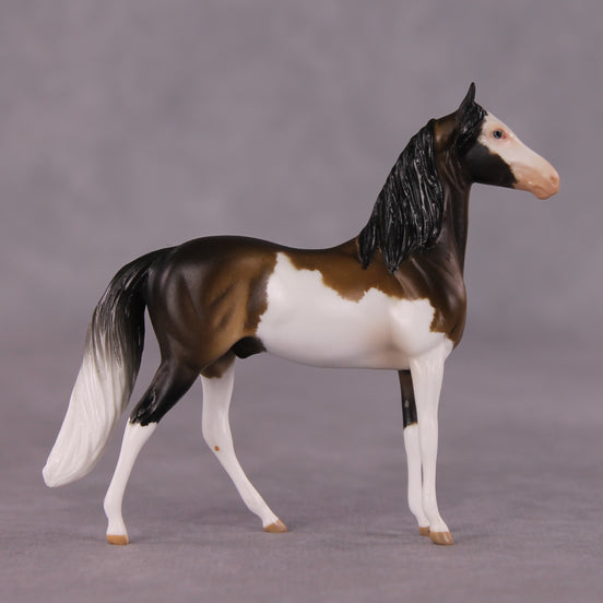 "Tiramusa" OOAK Morgan Chip by Anna Rieck SHCF25