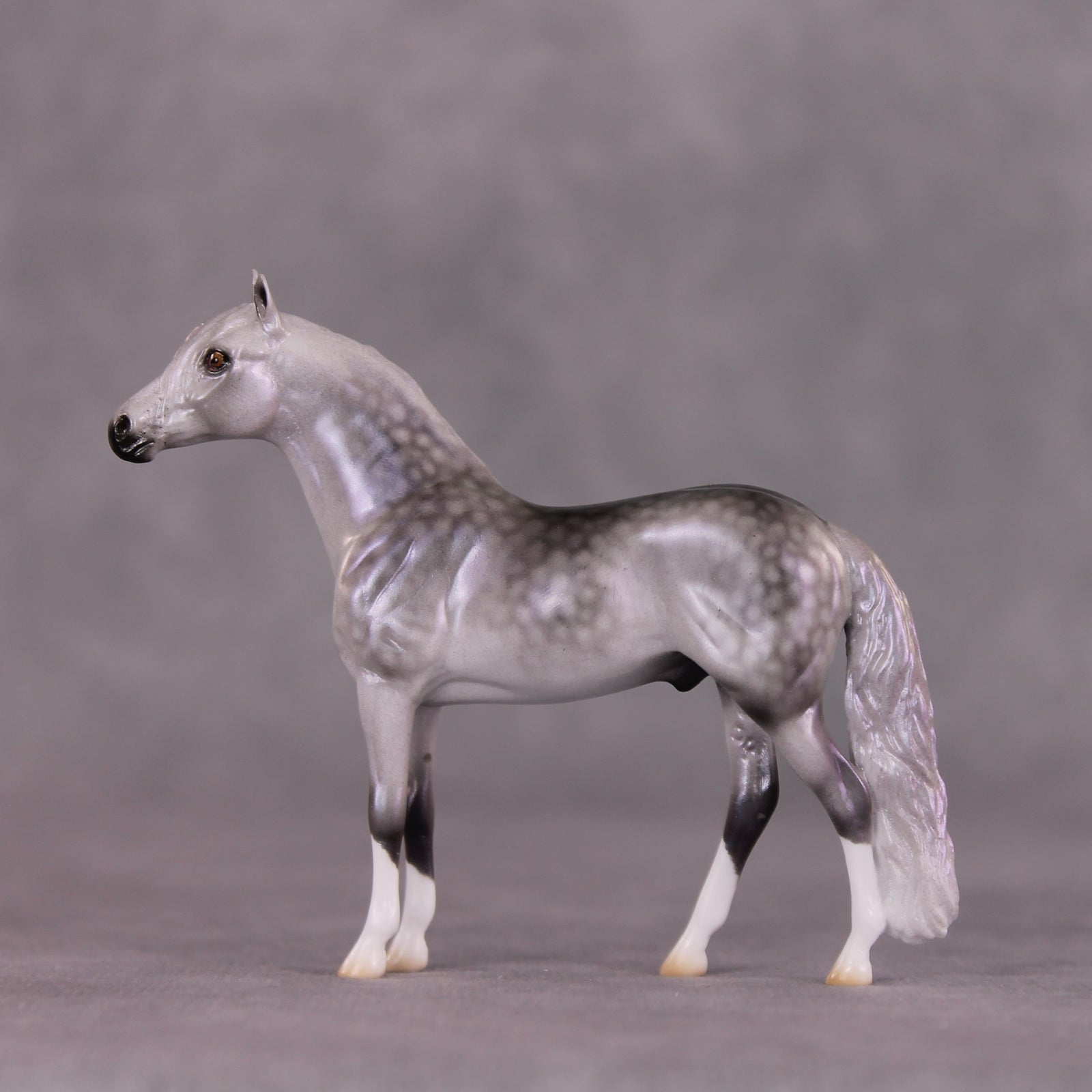 "Malibu" OOAK Andalusian Chip By Ellen Robbins SHCF25