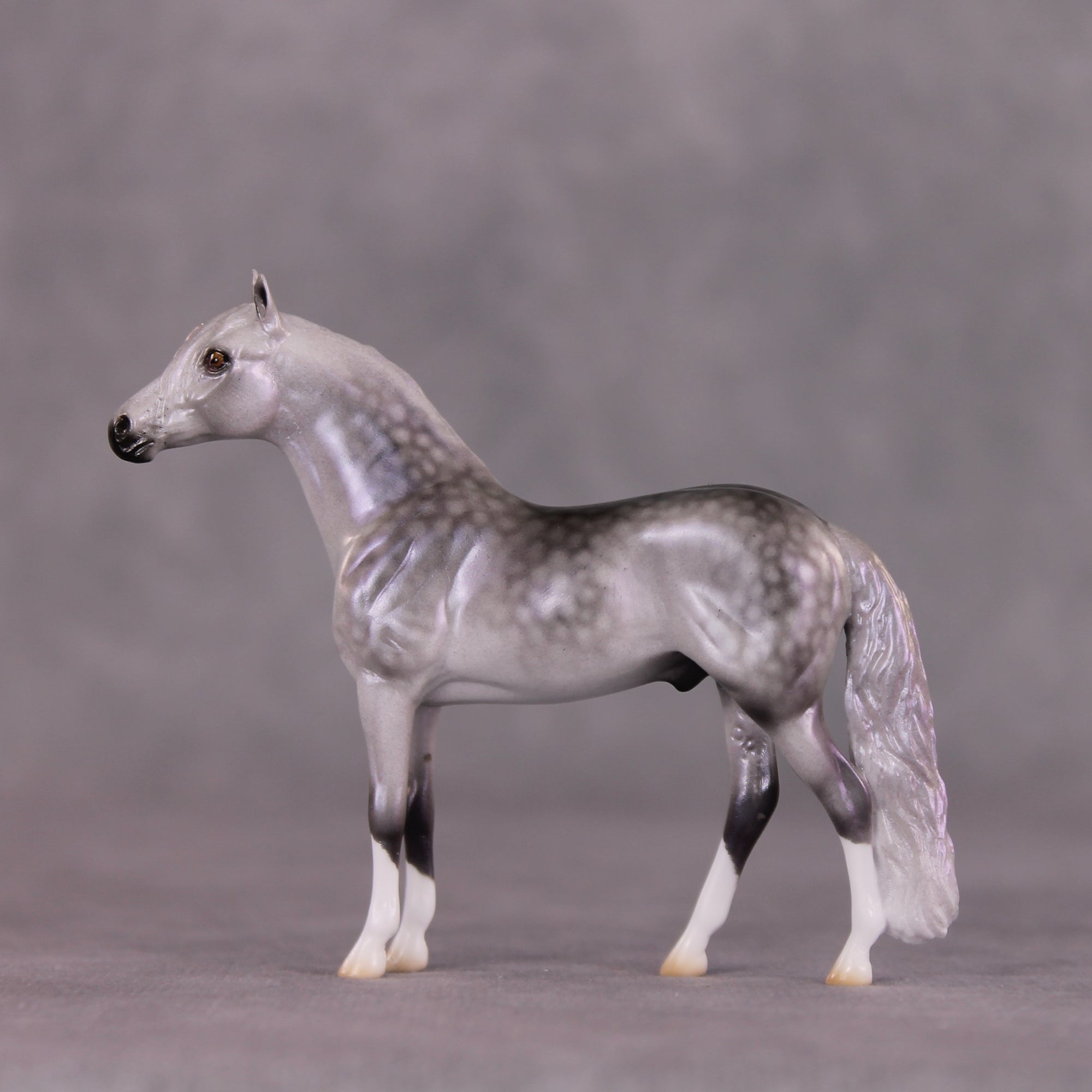 "Malibu" OOAK Andalusian Chip By Ellen Robbins SHCF25