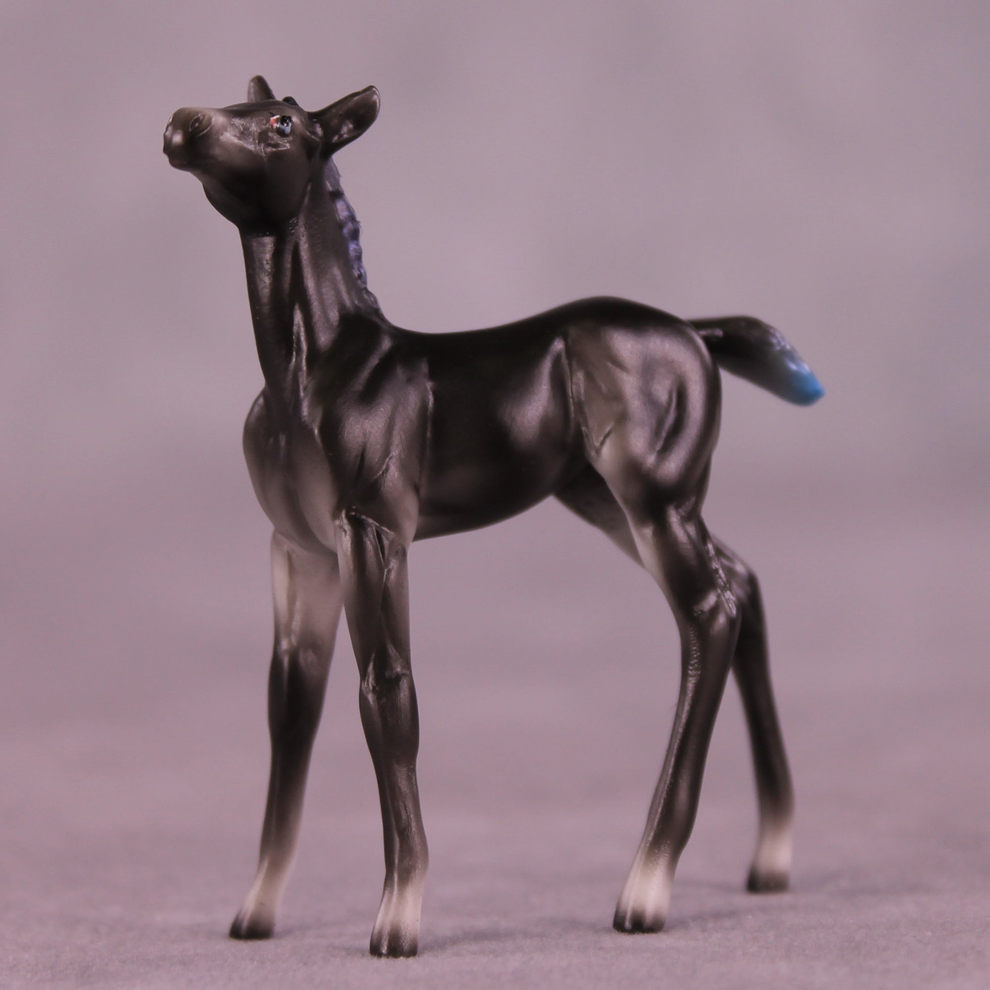 Gamemaster OOAK Chip Foal by Ellen Robbins SCD25