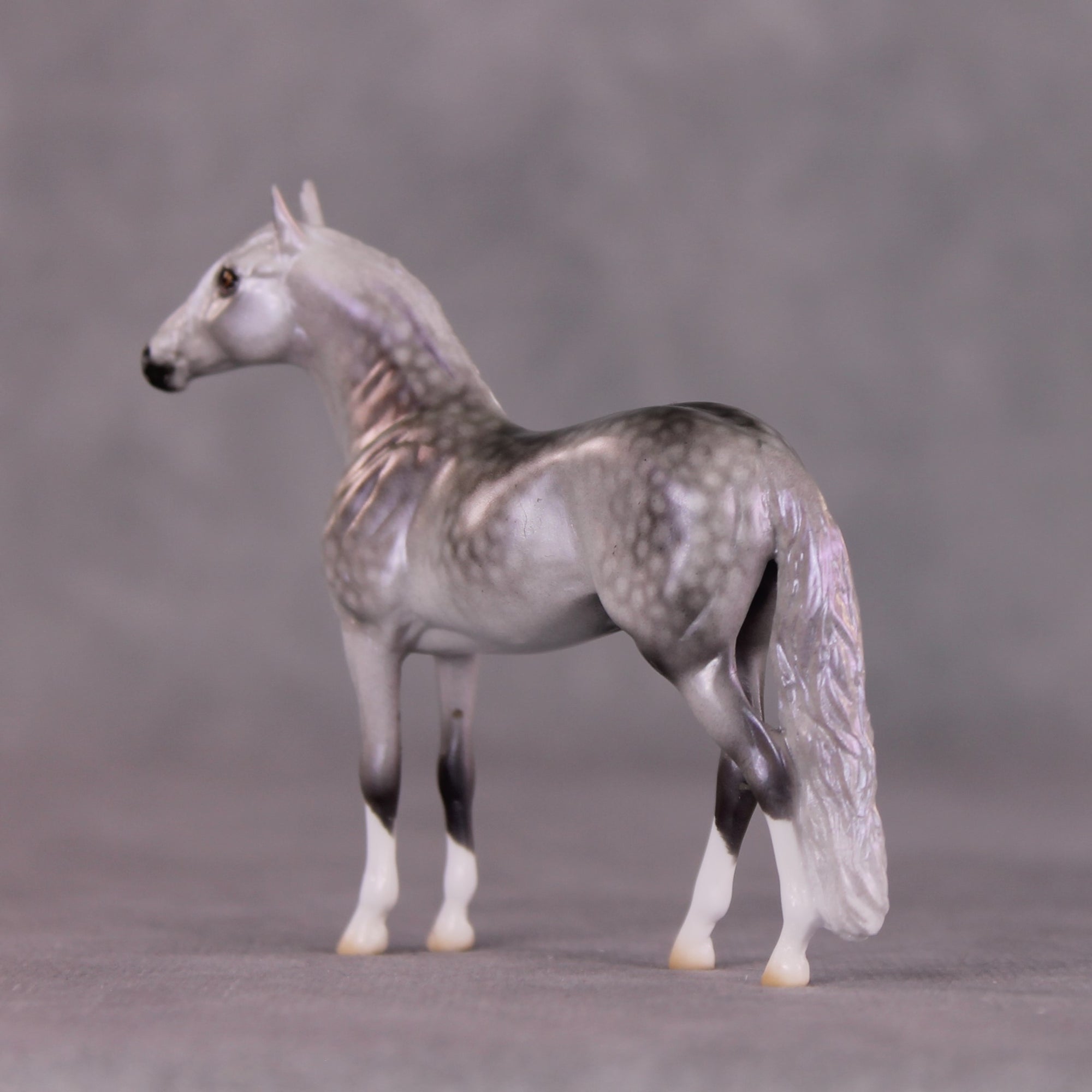 "Malibu" OOAK Andalusian Chip By Ellen Robbins SHCF25