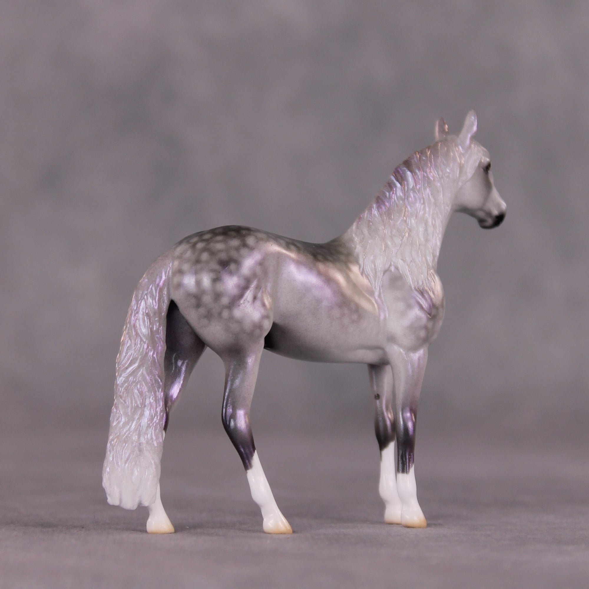"Malibu" OOAK Andalusian Chip By Ellen Robbins SHCF25