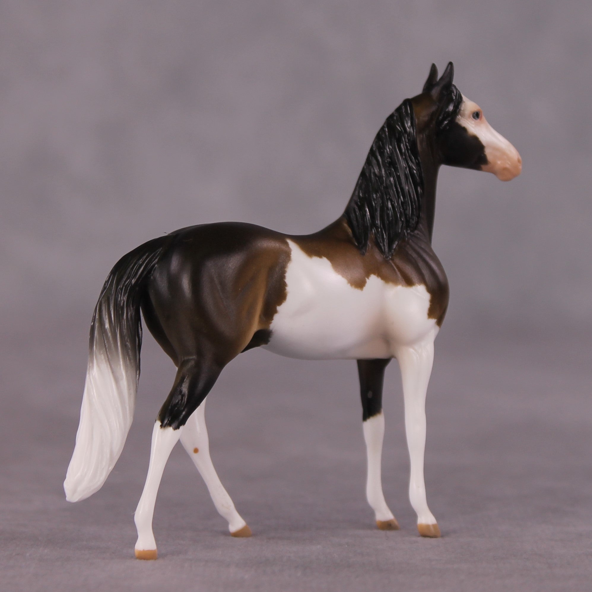 "Tiramusa" OOAK Morgan Chip by Anna Rieck SHCF25