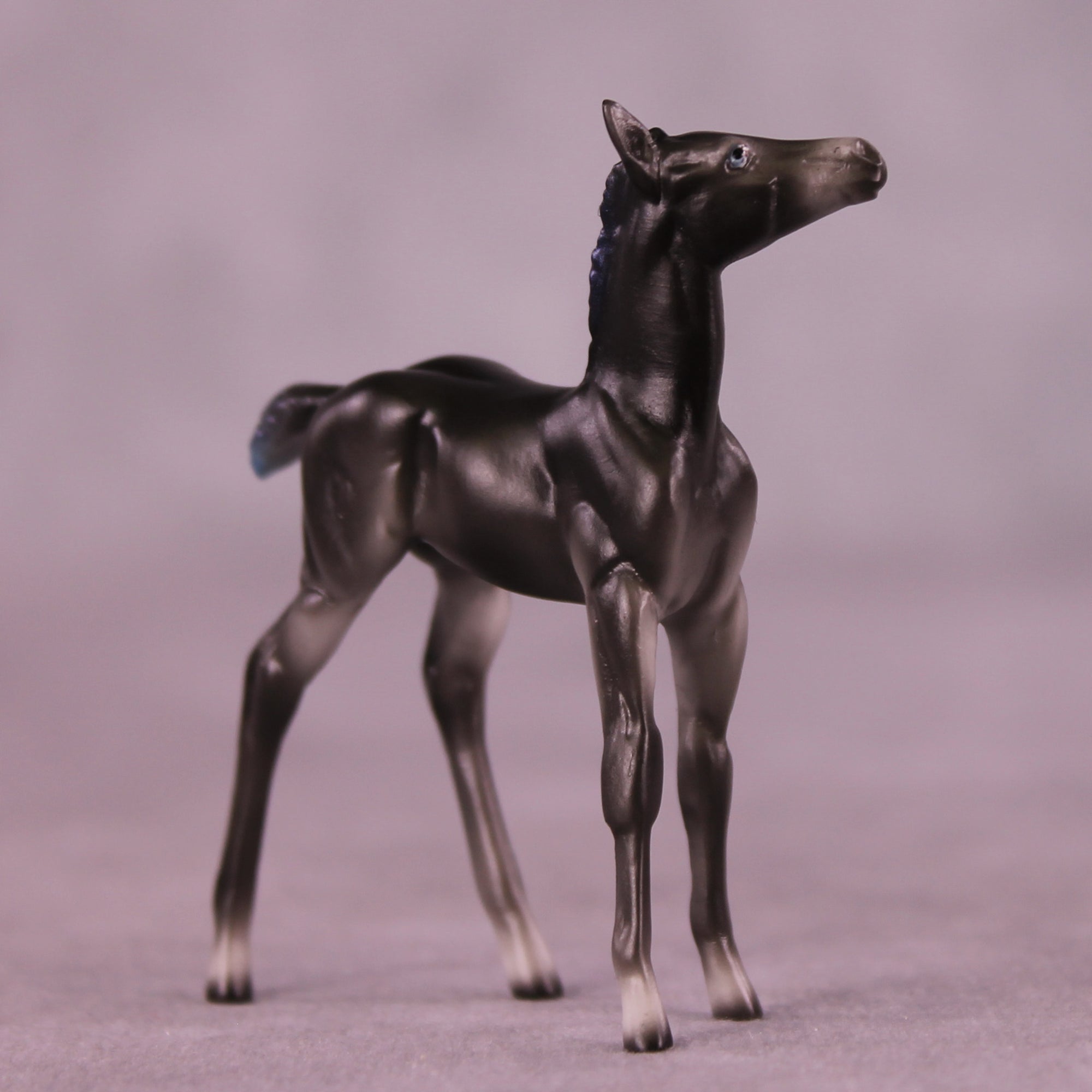 Gamemaster OOAK Chip Foal by Ellen Robbins SCD25