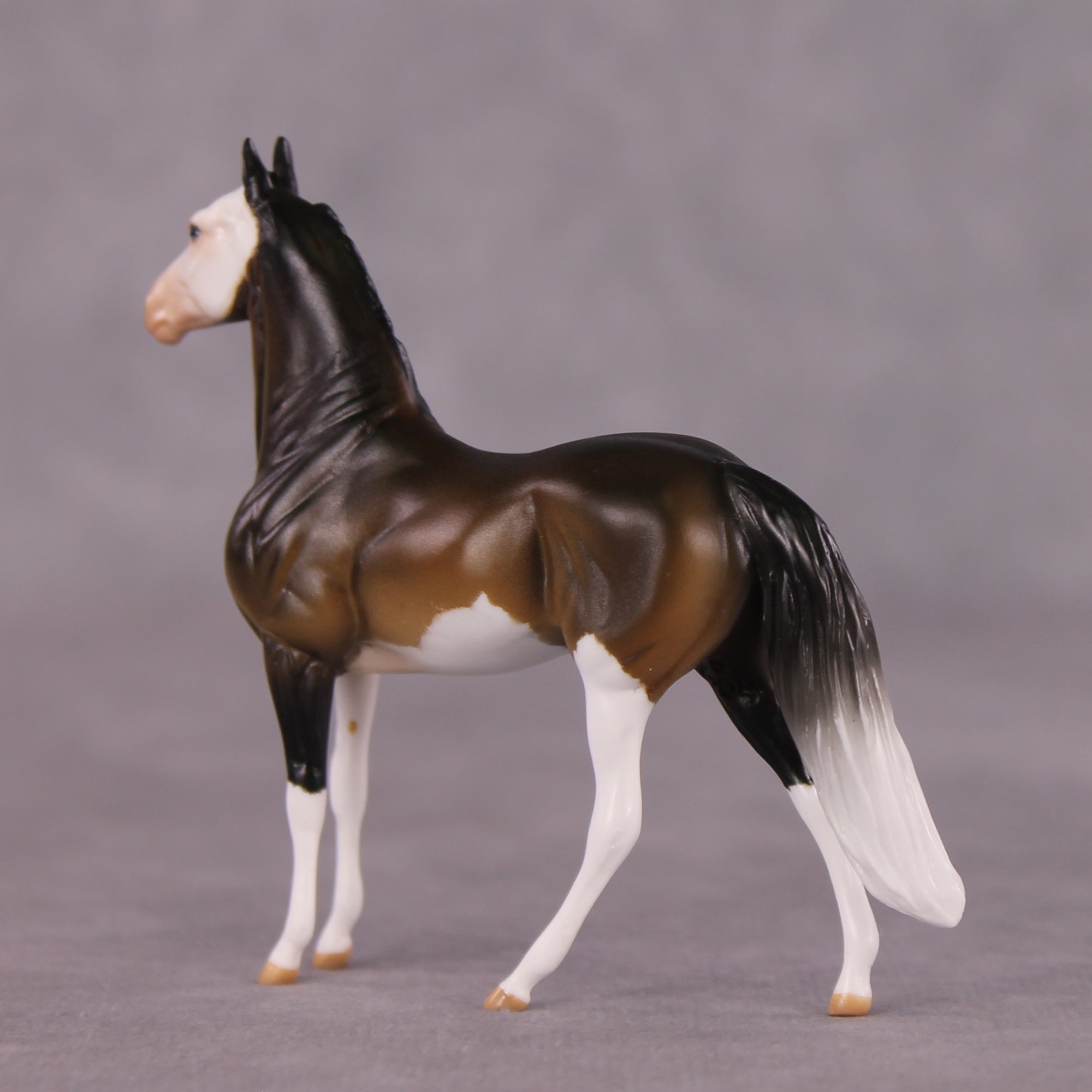 "Tiramusa" OOAK Morgan Chip by Anna Rieck SHCF25