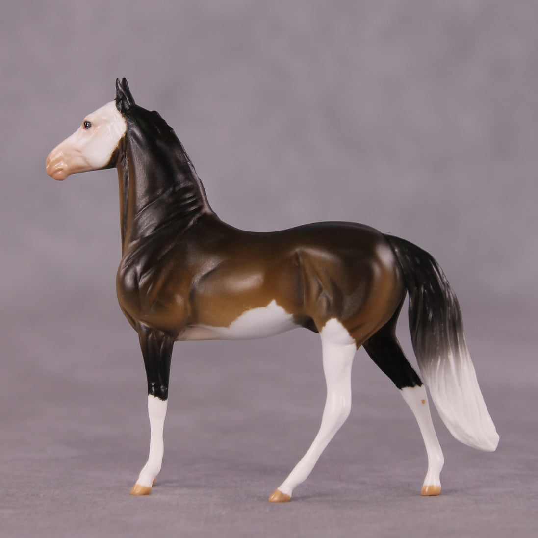"Tiramusa" OOAK Morgan Chip by Anna Rieck SHCF25