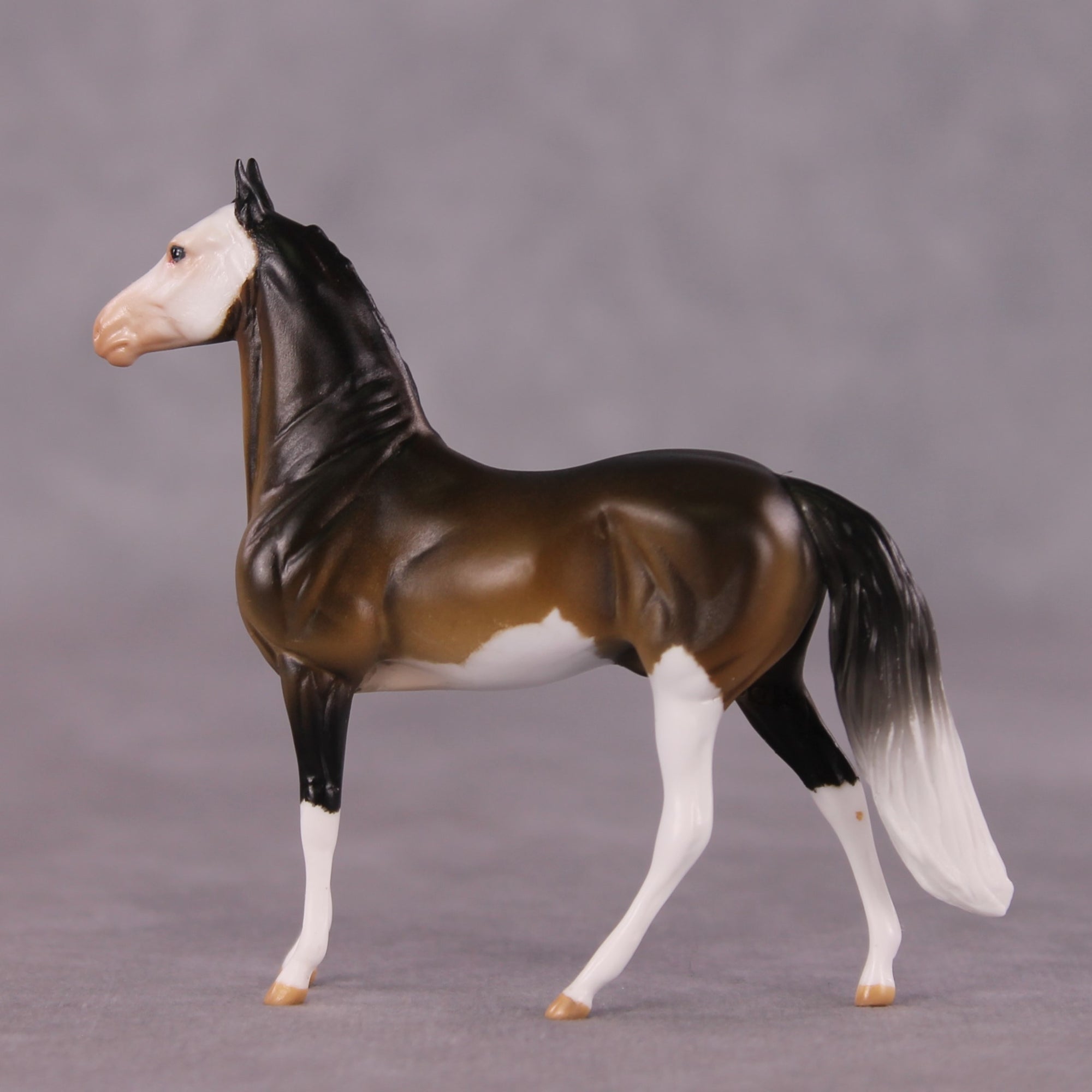 "Tiramusa" OOAK Morgan Chip by Anna Rieck SHCF25