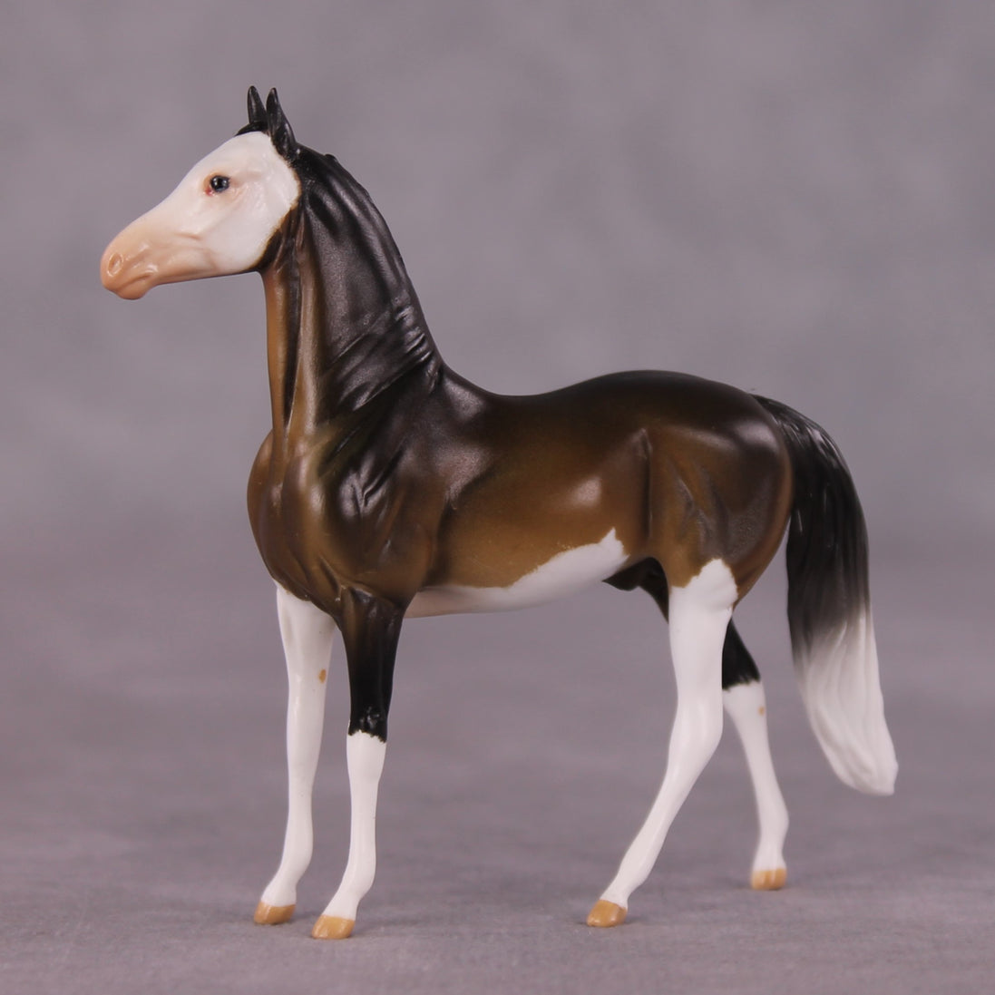 "Tiramusa" OOAK Morgan Chip by Anna Rieck SHCF25