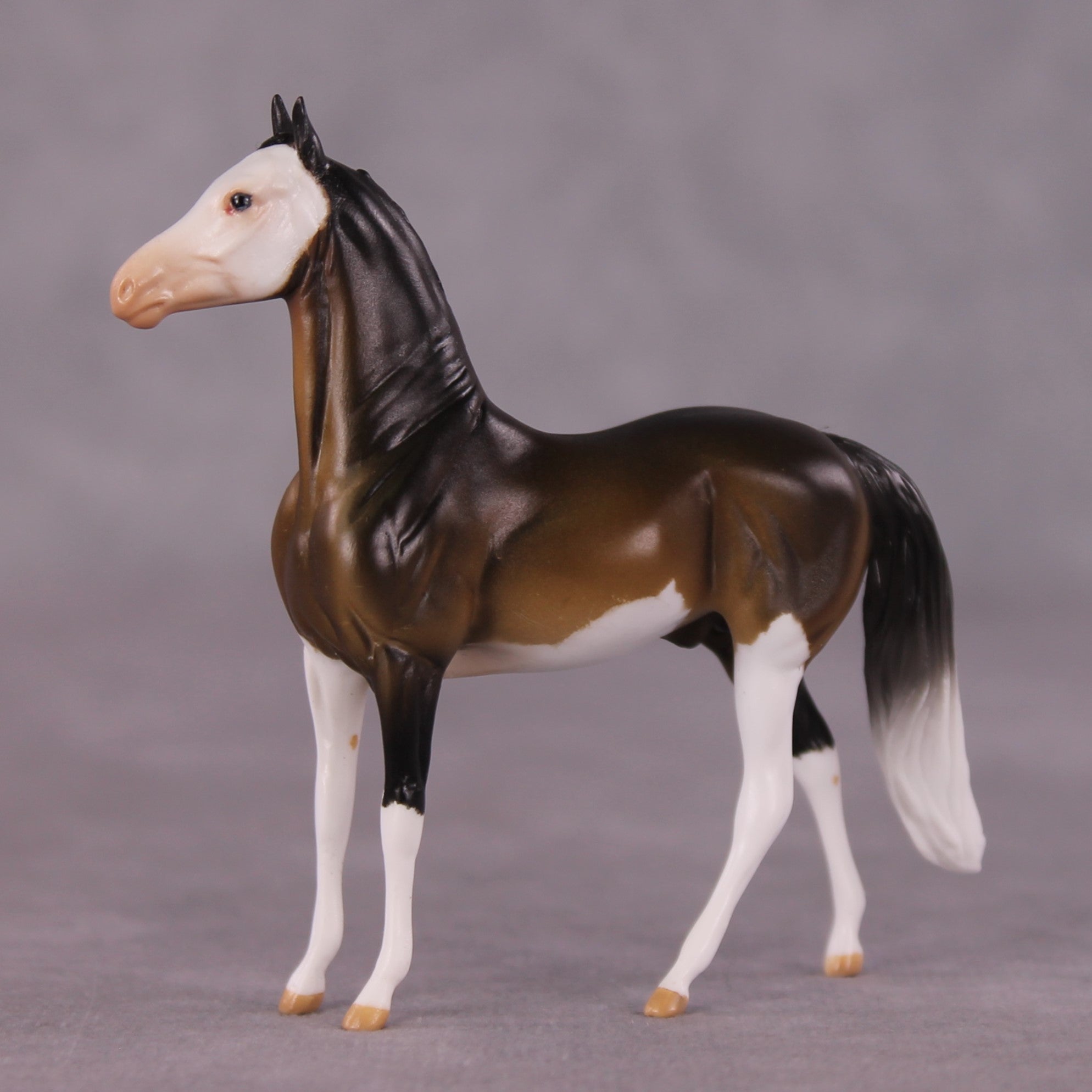 "Tiramusa" OOAK Morgan Chip by Anna Rieck SHCF25