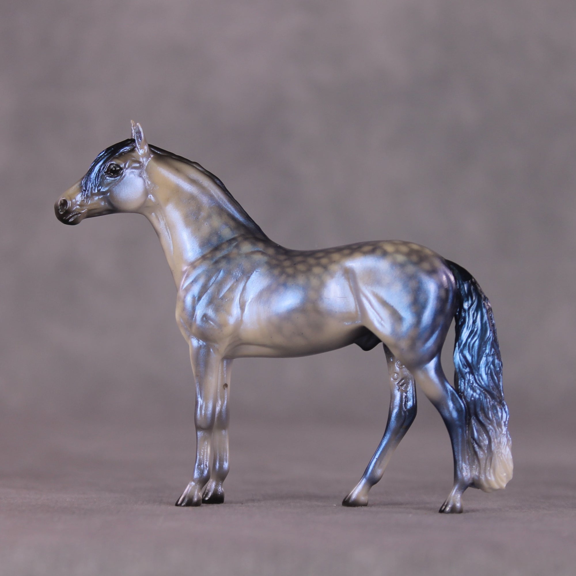 "Rainy Season Blues" OOAK Andalusian Chip By Ellen Robbins SHCF25