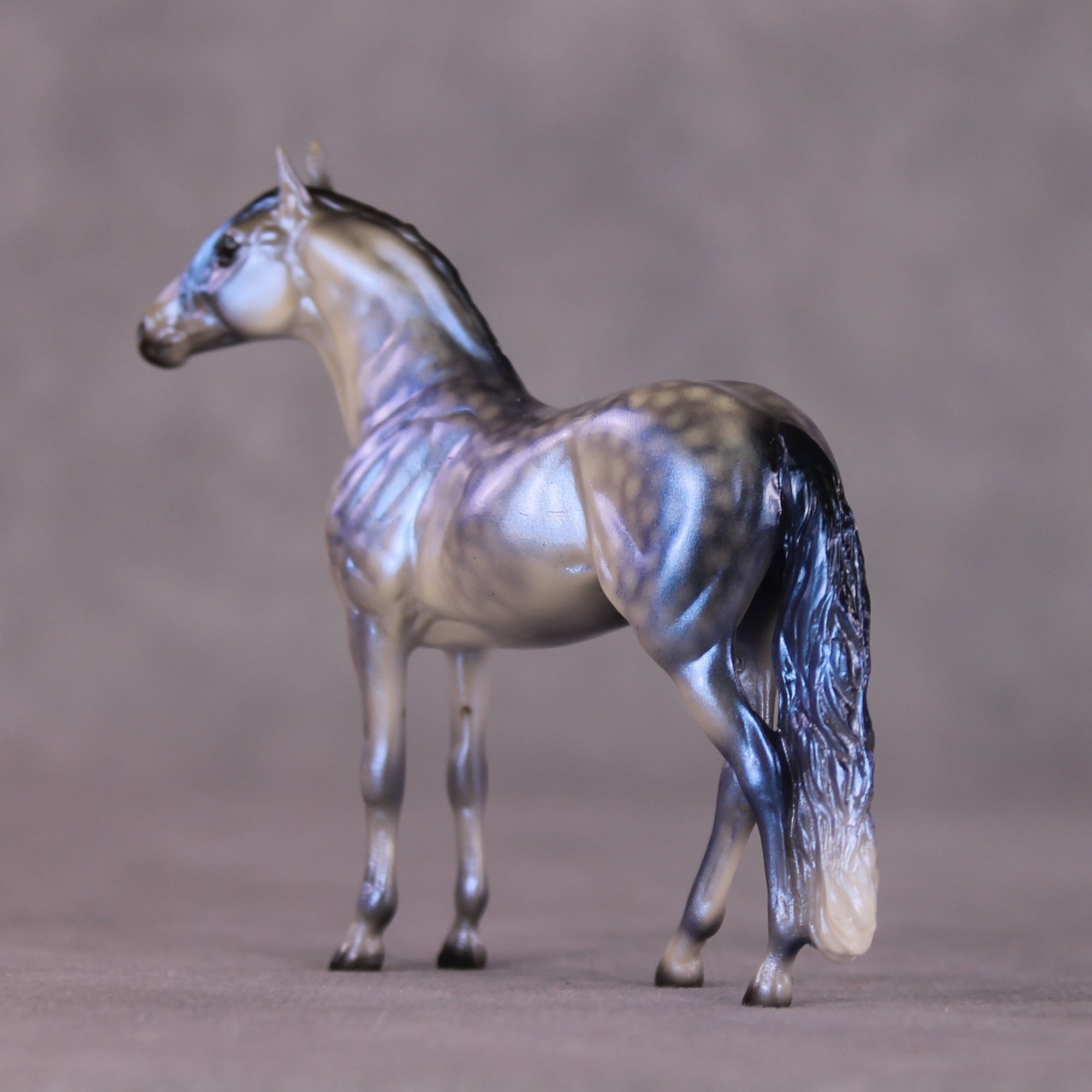 "Rainy Season Blues" OOAK Andalusian Chip By Ellen Robbins SHCF25
