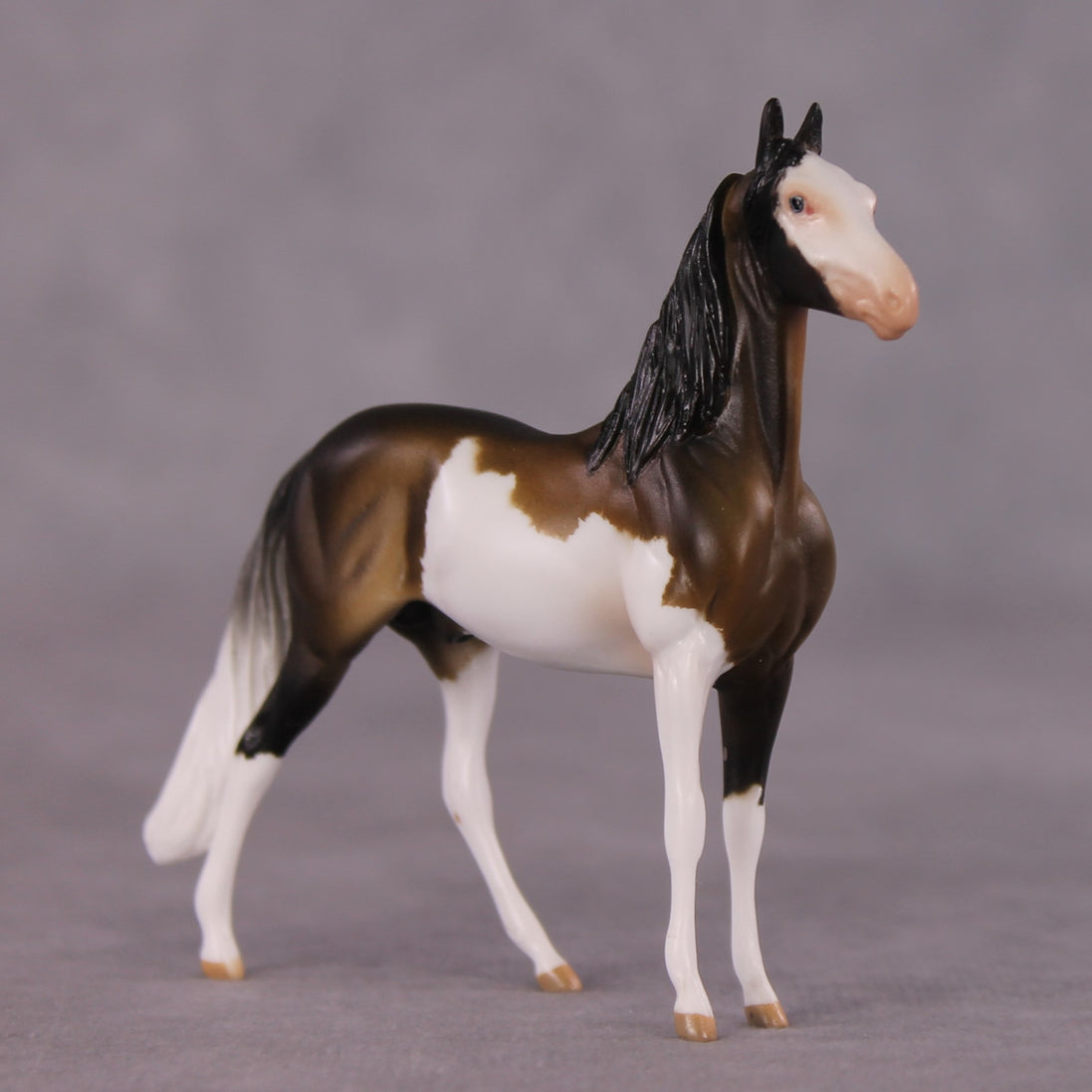 "Tiramusa" OOAK Morgan Chip by Anna Rieck SHCF25