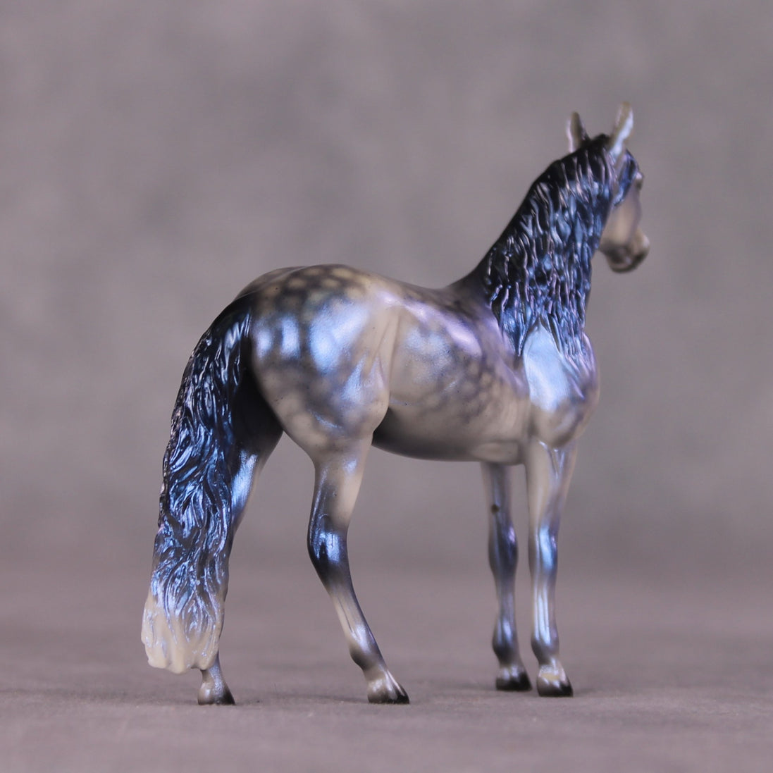 "Rainy Season Blues" OOAK Andalusian Chip By Ellen Robbins SHCF25