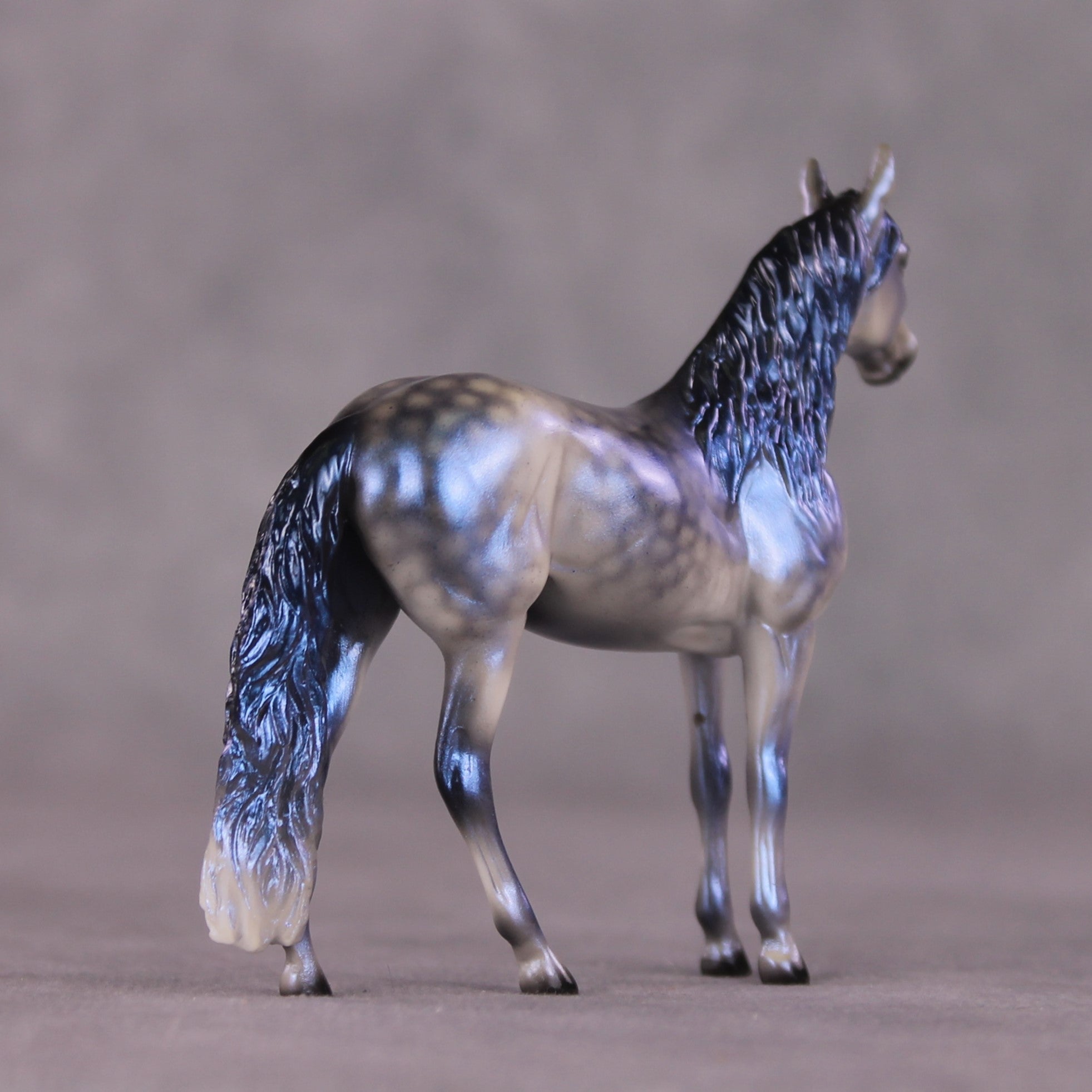 "Rainy Season Blues" OOAK Andalusian Chip By Ellen Robbins SHCF25
