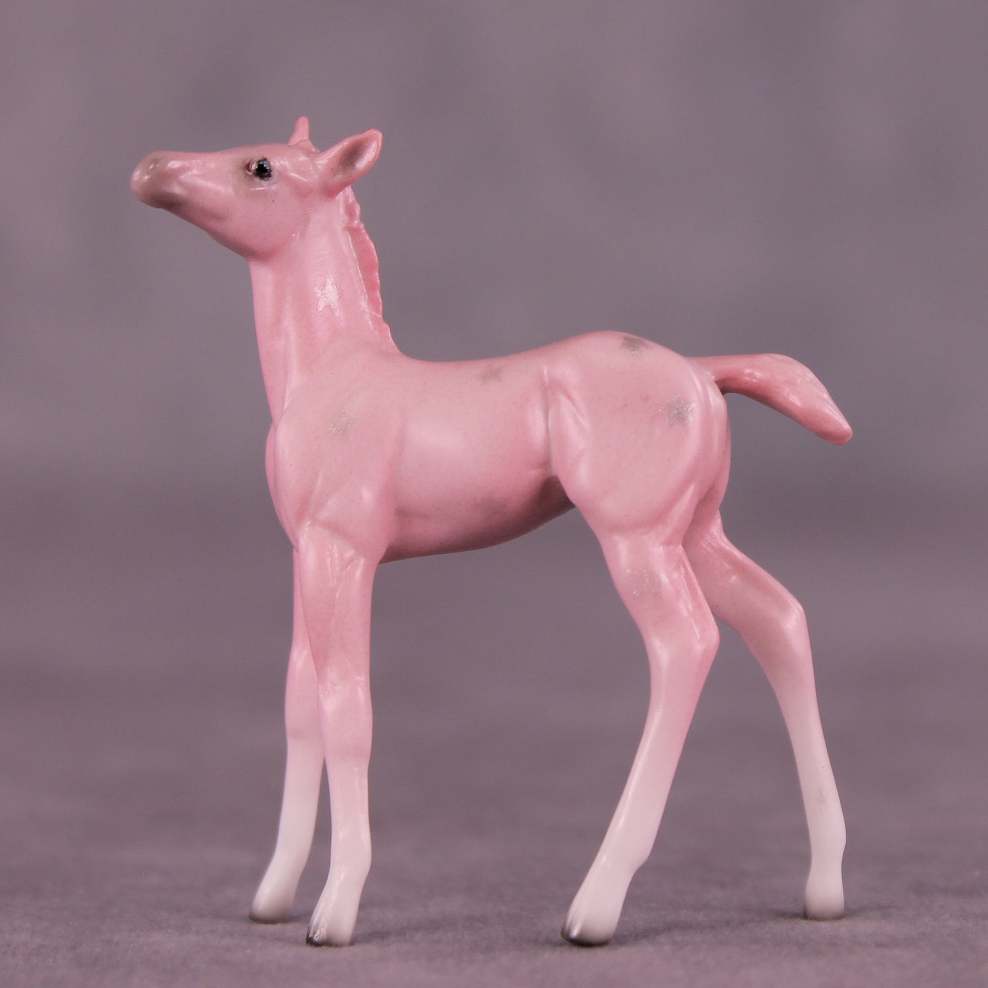 Princess Dress OOAK Chip Foal by Ellen Robbins SCD25