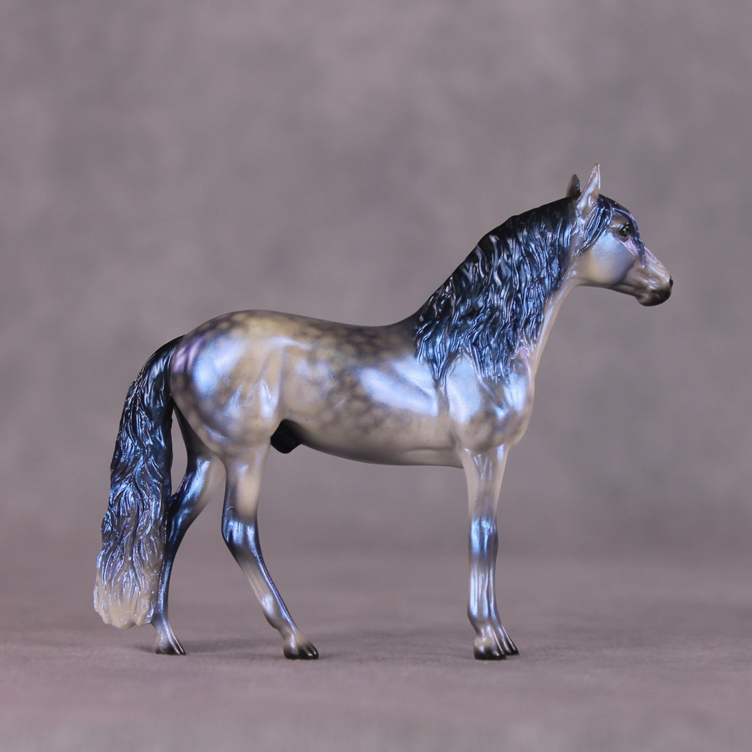 "Rainy Season Blues" OOAK Andalusian Chip By Ellen Robbins SHCF25