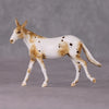 Ocarina OOAK Chestnut Leopard Appy Mule Chip By Andrea Thomason HS24 MHP Auction Piece