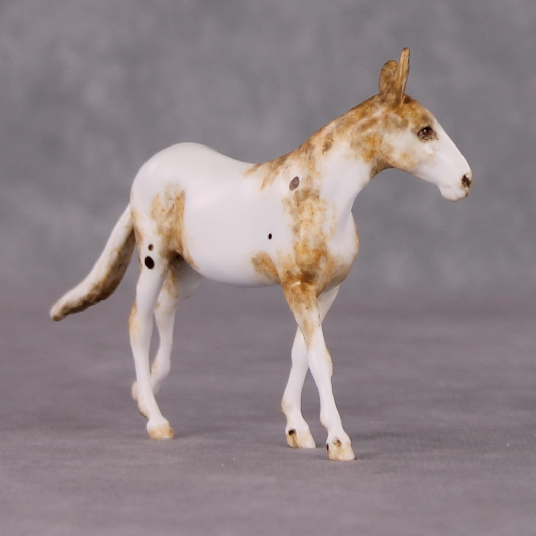 Ocarina OOAK Chestnut Leopard Appy Mule Chip By Andrea Thomason HS24 MHP Auction Piece