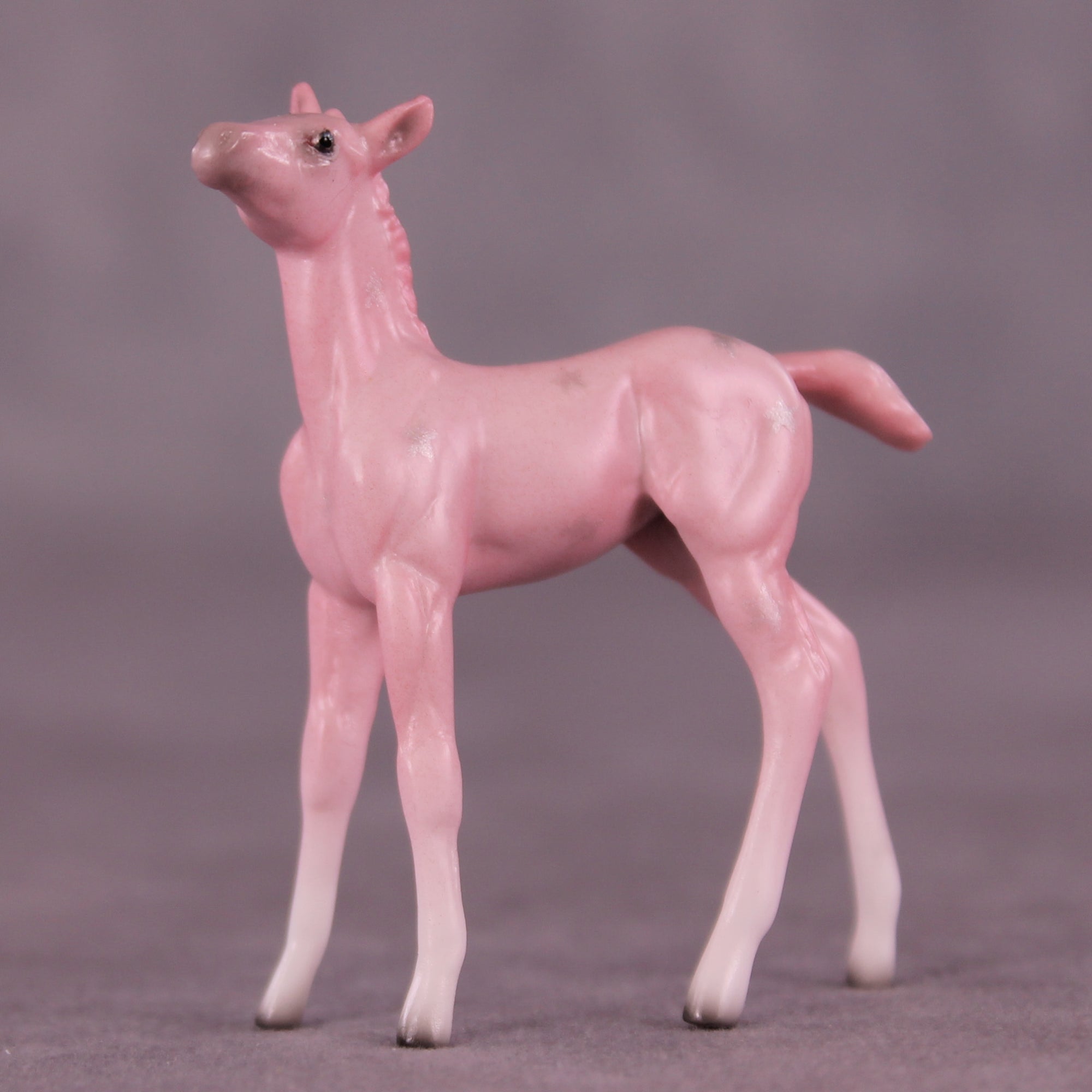Princess Dress OOAK Chip Foal by Ellen Robbins SCD25
