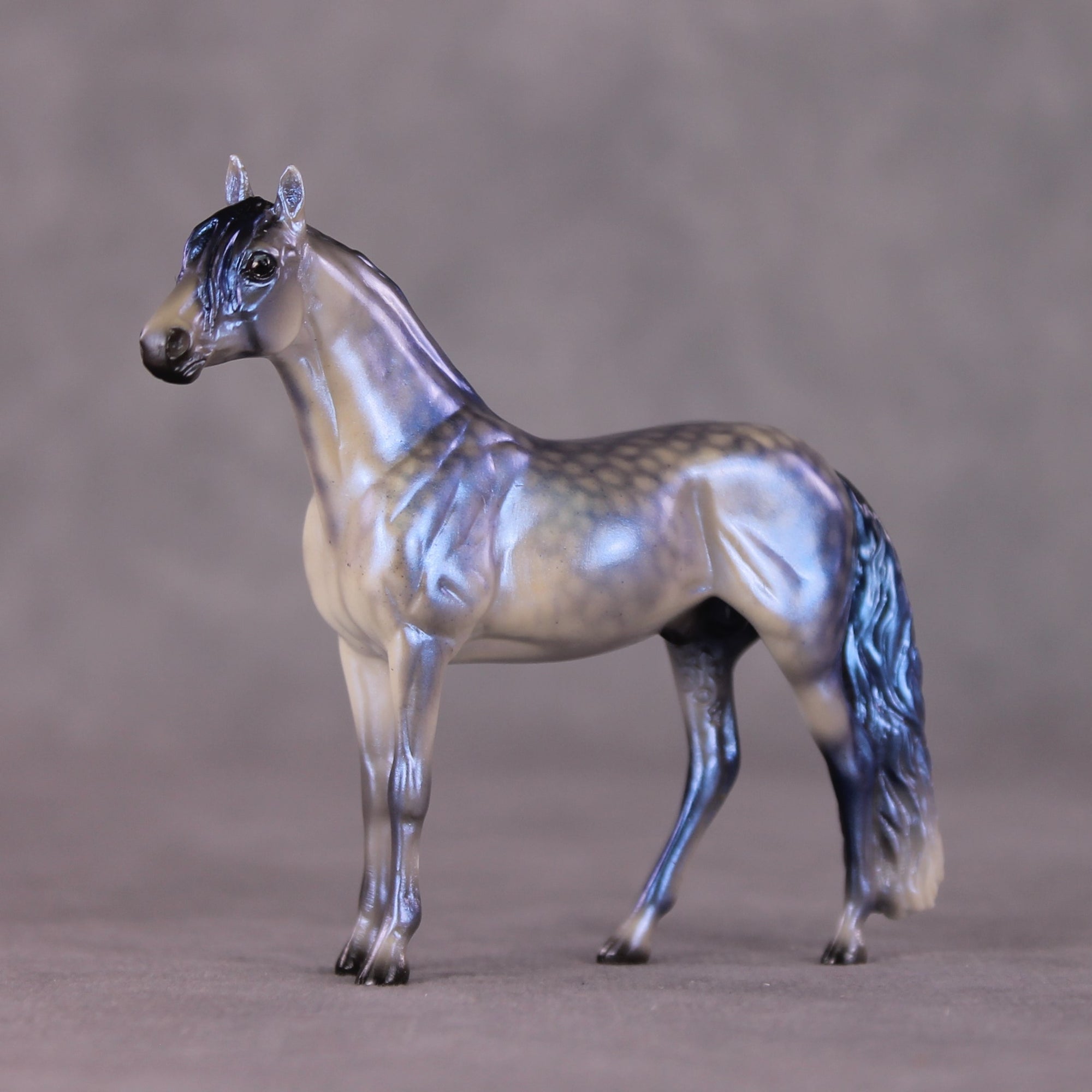 "Rainy Season Blues" OOAK Andalusian Chip By Ellen Robbins SHCF25