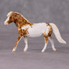 Tony OOAK Chestnut Appy Pony Chip By Andrea Thomason HS24 MHP Auction Piece