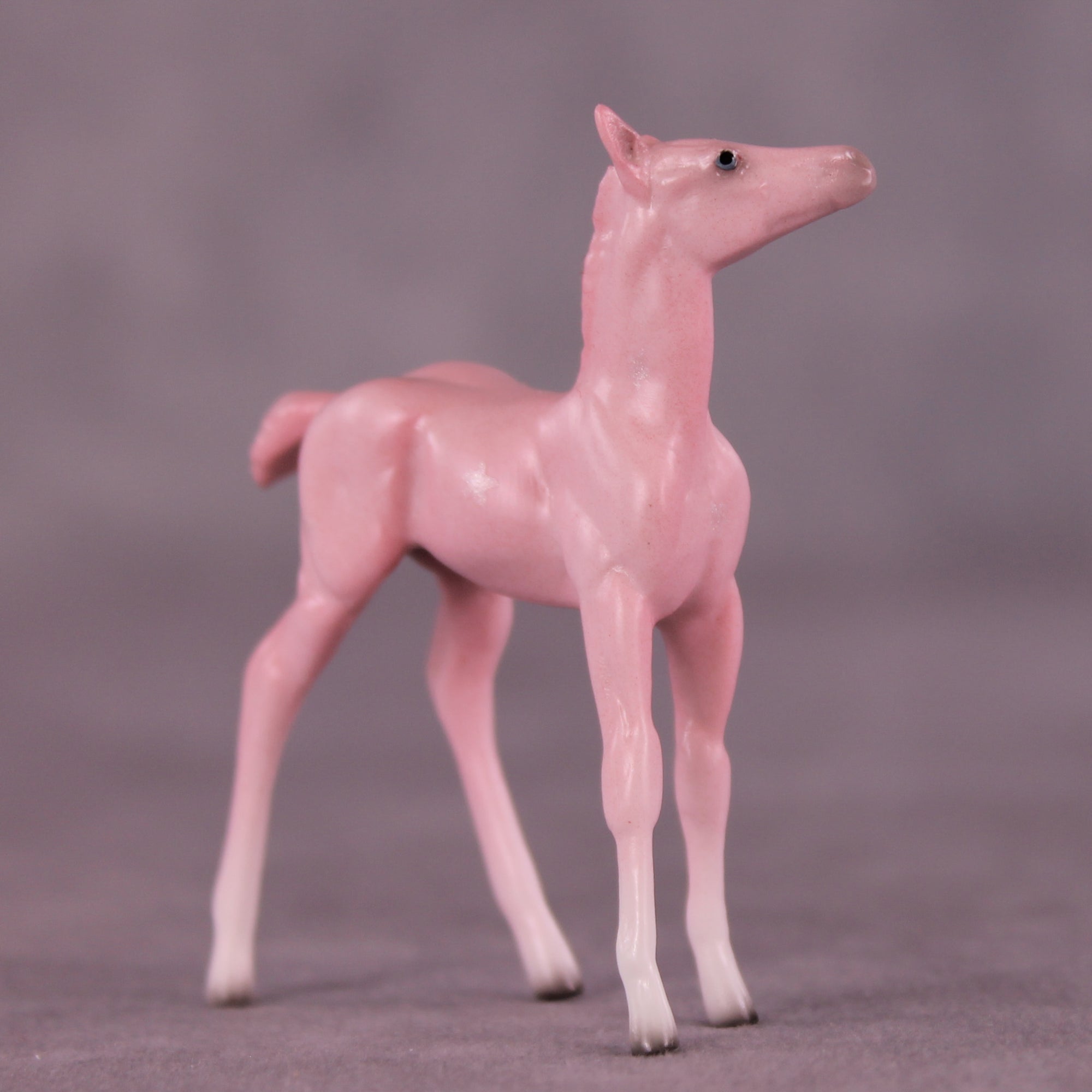 Princess Dress OOAK Chip Foal by Ellen Robbins SCD25