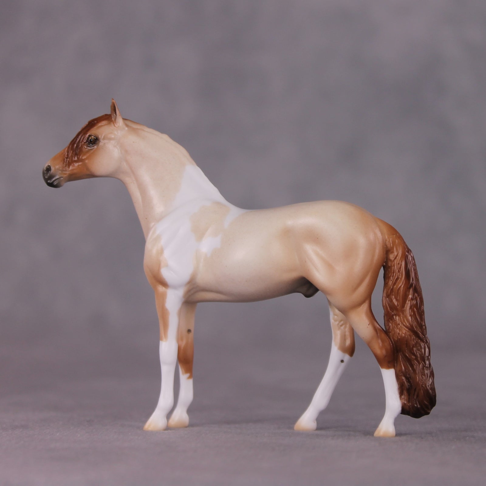 "Seaside Stargazer" OOAK Andalusian Chip By Ellen Robbins SHCF25