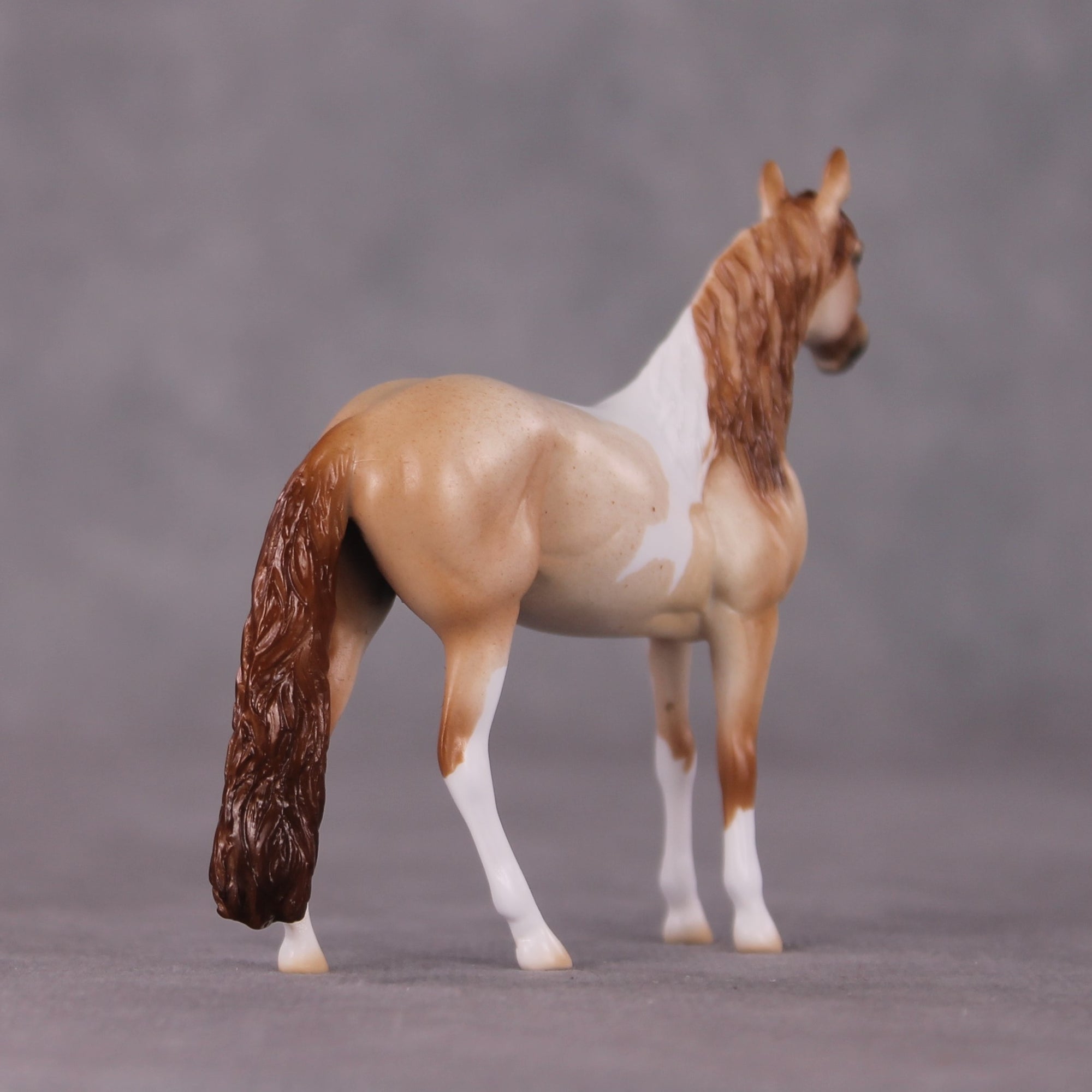 "Seaside Stargazer" OOAK Andalusian Chip By Ellen Robbins SHCF25