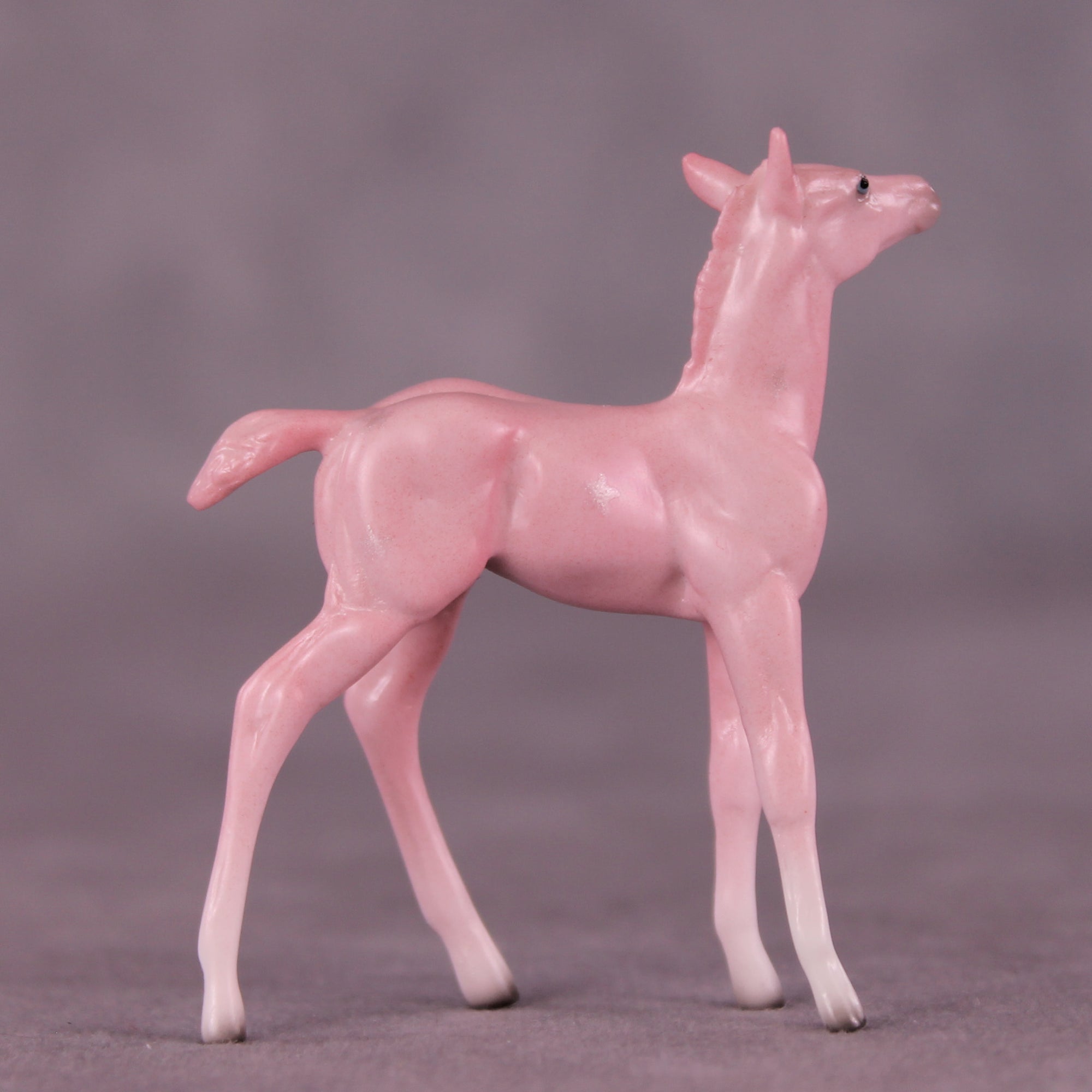 Princess Dress OOAK Chip Foal by Ellen Robbins SCD25