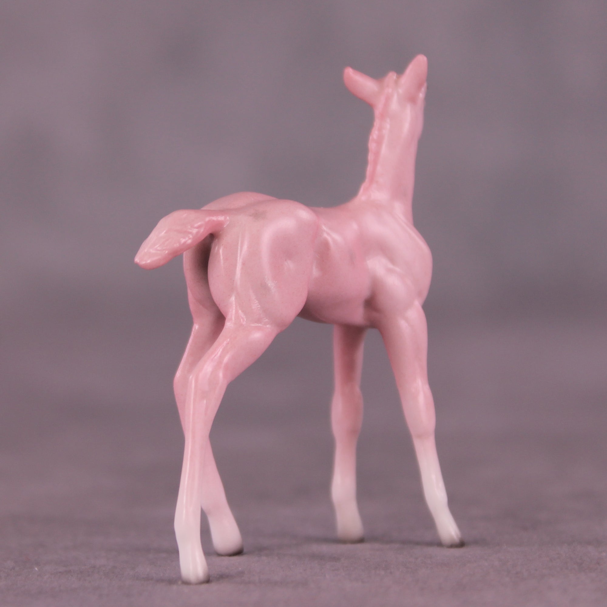 Princess Dress OOAK Chip Foal by Ellen Robbins SCD25