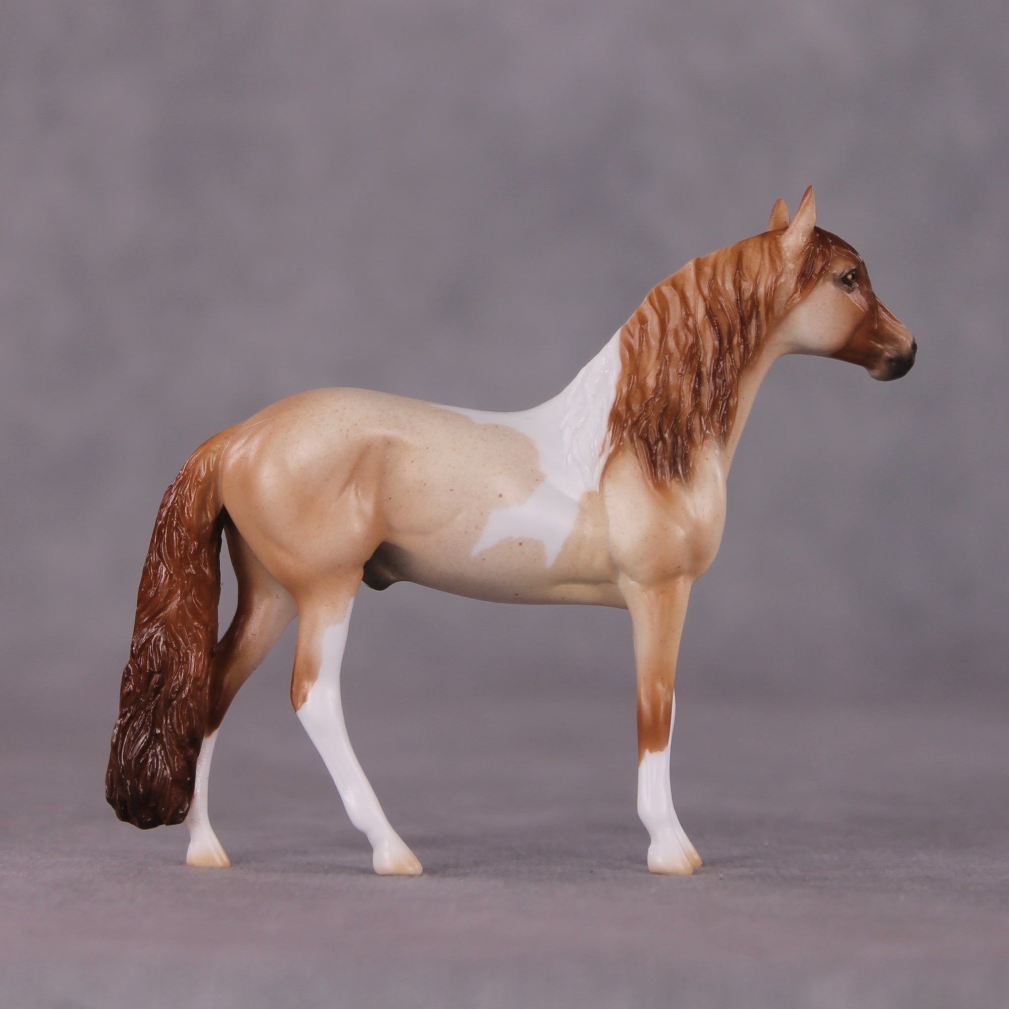 "Seaside Stargazer" OOAK Andalusian Chip By Ellen Robbins SHCF25