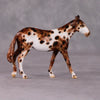 Oakum OOAK Chestnut Appy Mule Chip By Andrea Thomason HS24 MHP Auction Piece