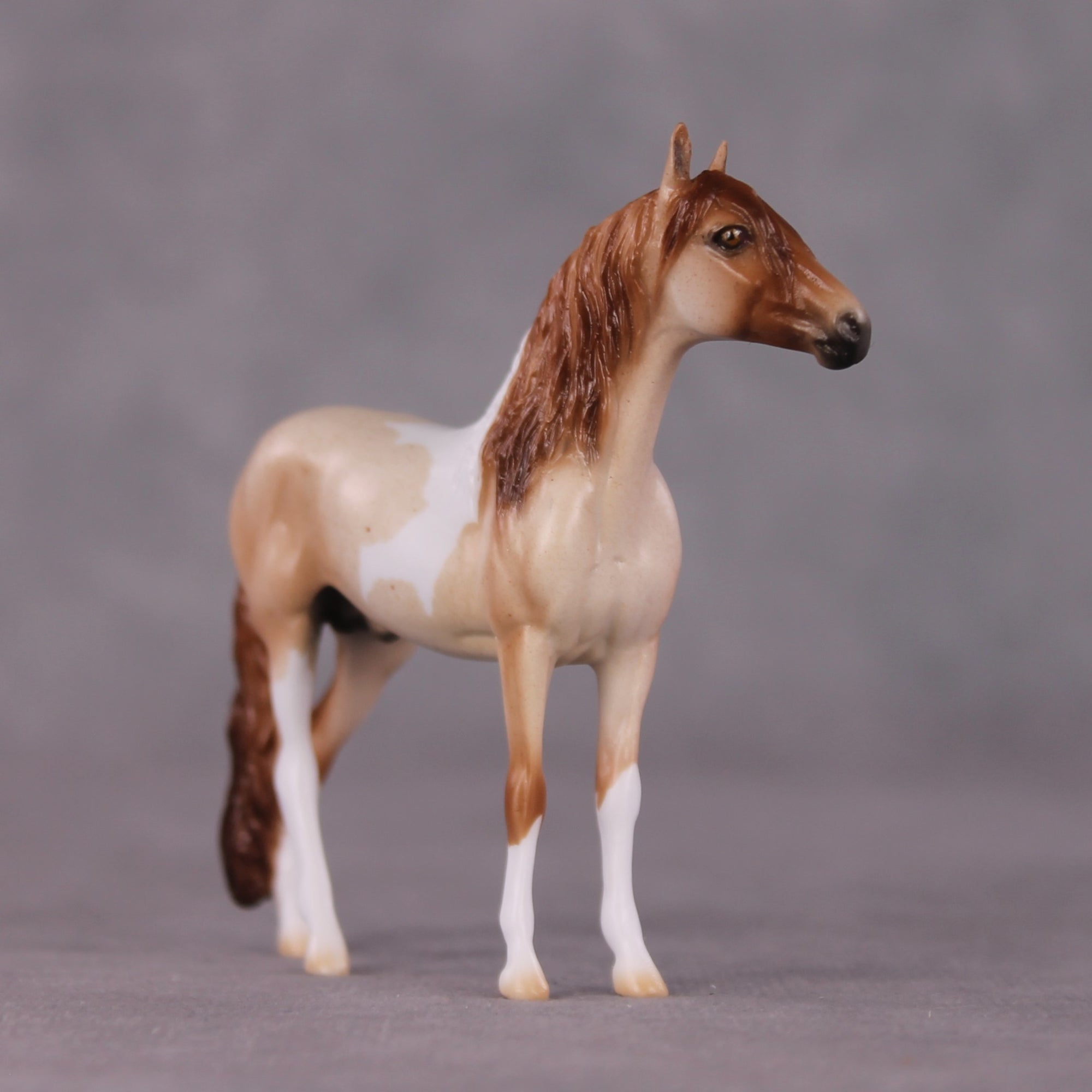"Seaside Stargazer" OOAK Andalusian Chip By Ellen Robbins SHCF25