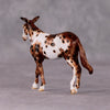 Oakum OOAK Chestnut Appy Mule Chip By Andrea Thomason HS24 MHP Auction Piece