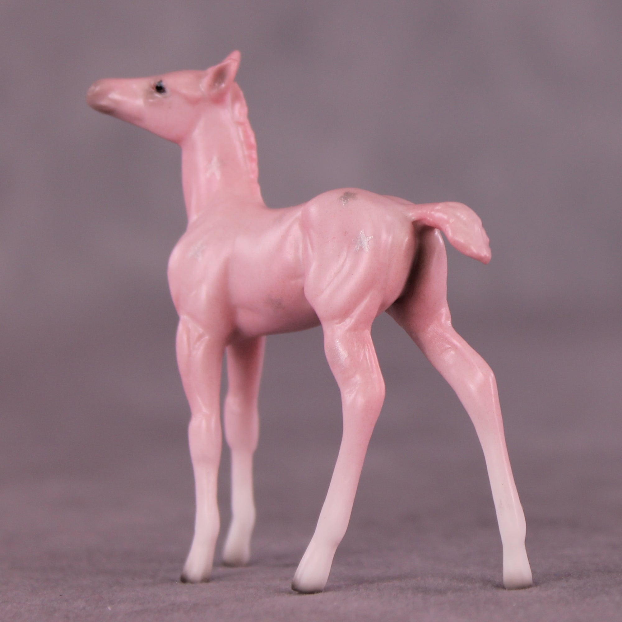 Princess Dress OOAK Chip Foal by Ellen Robbins SCD25