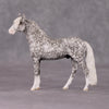 Cavalier OOAK Dappled Grey Andalusian Chip By Andrea Thomason HS24 MHP Auction Piece