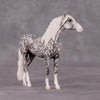 Cavalier OOAK Dappled Grey Andalusian Chip By Andrea Thomason HS24 MHP Auction Piece