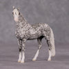 Cavalier OOAK Dappled Grey Andalusian Chip By Andrea Thomason HS24 MHP Auction Piece