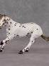 Lyric OOAK Custom Leopard Appaloosa Cutter Chip By Andrea Thomason HS24